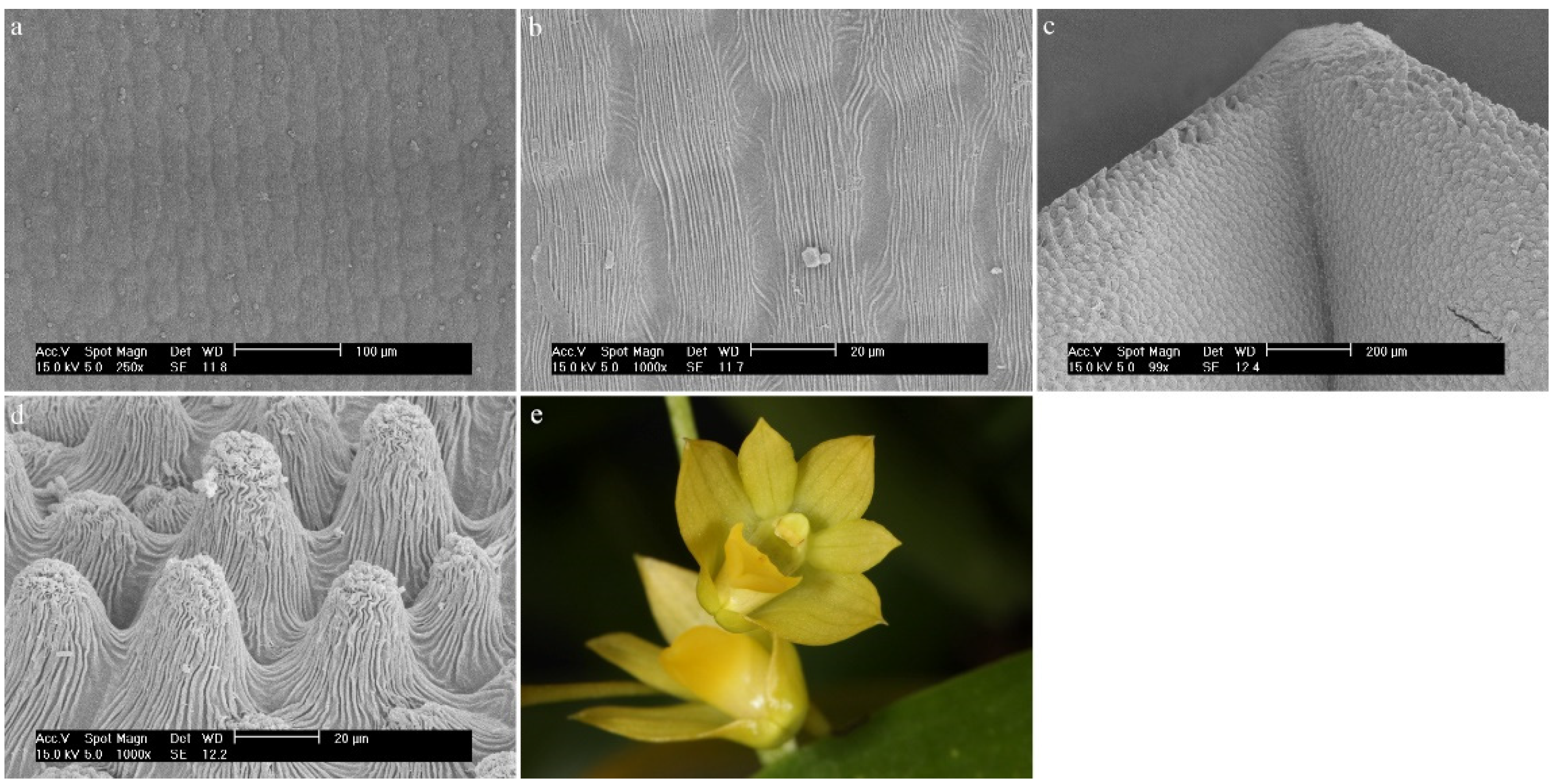 Ijms 23 09578 g016 Ijms 23 09578 g016