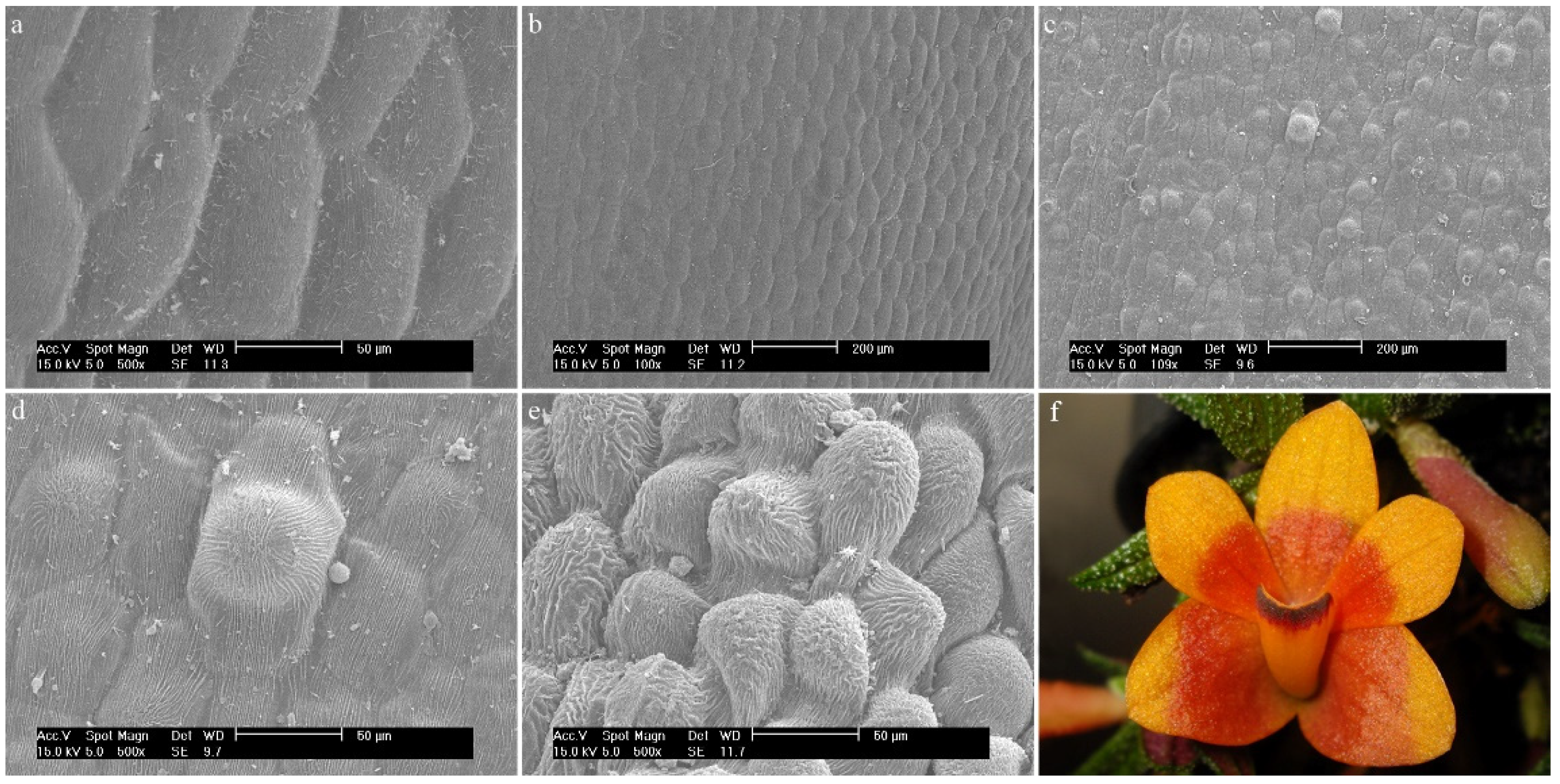 Ijms 23 09578 g017 Ijms 23 09578 g017