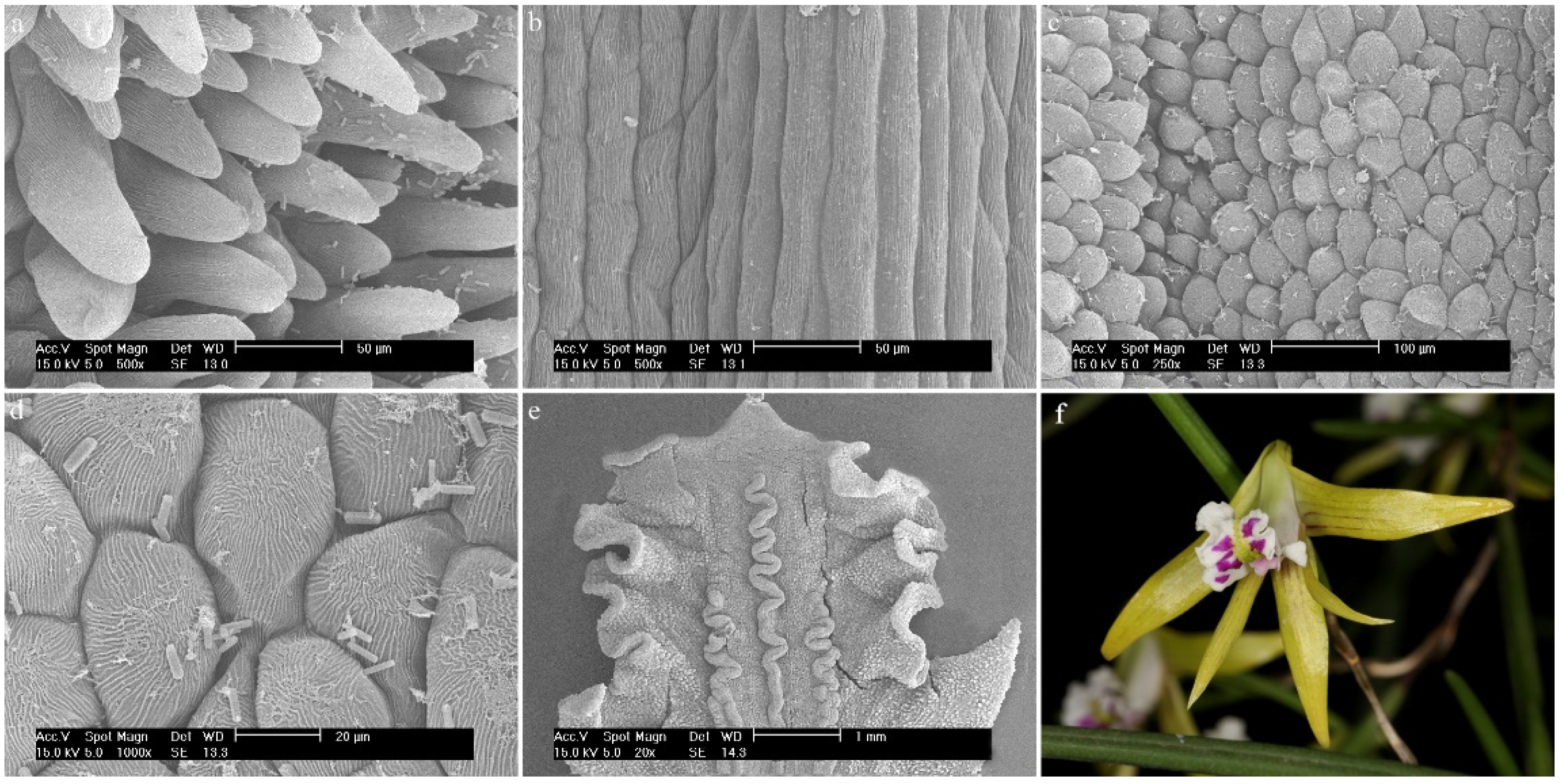 Ijms 23 09578 g018 Ijms 23 09578 g018