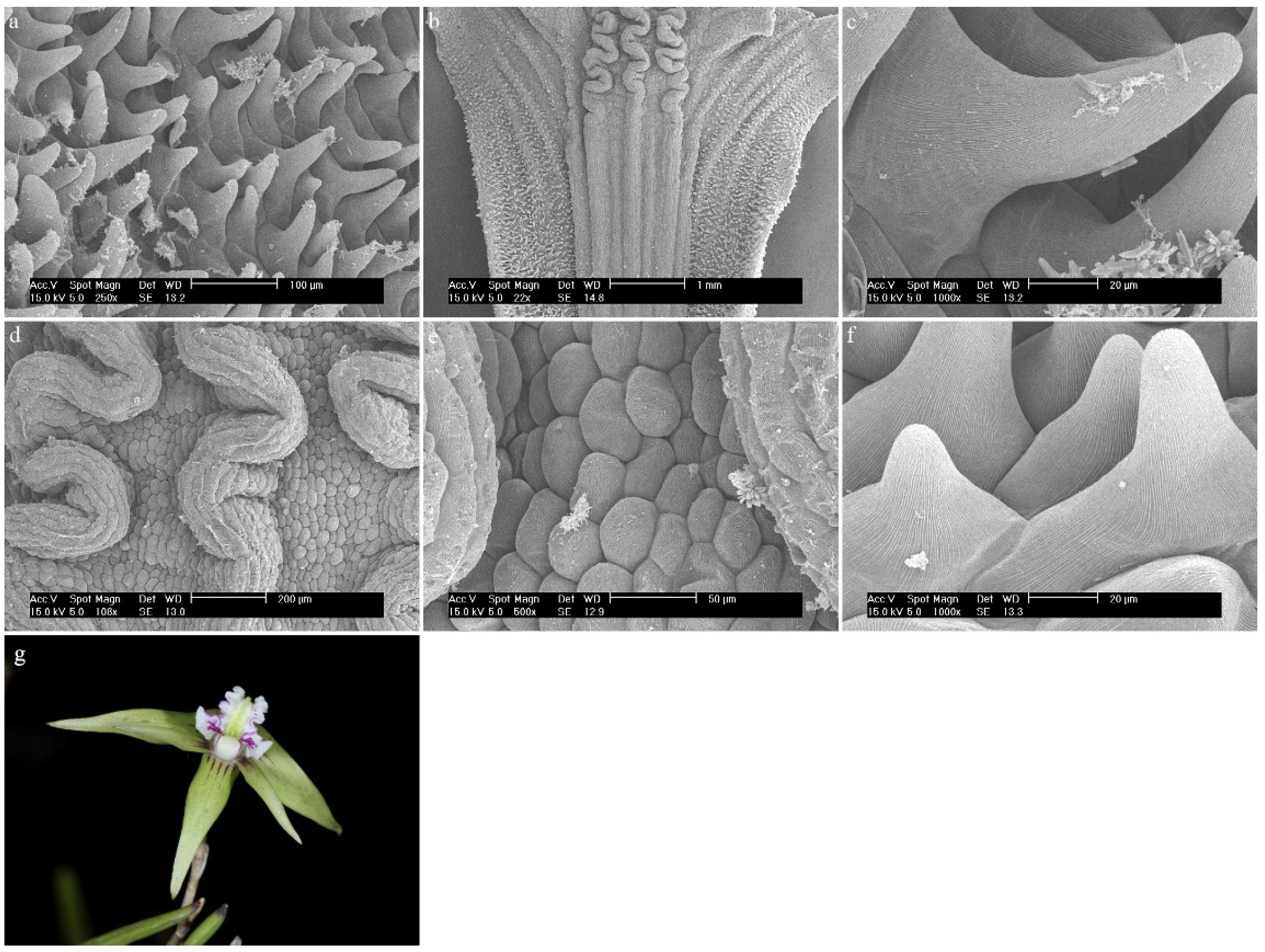 Ijms 23 09578 g019 Ijms 23 09578 g019