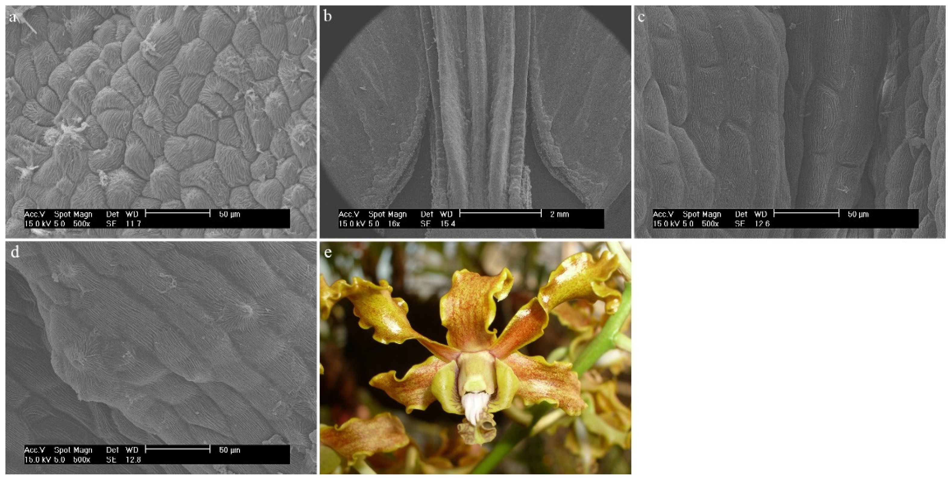 Ijms 23 09578 g020 Ijms 23 09578 g020