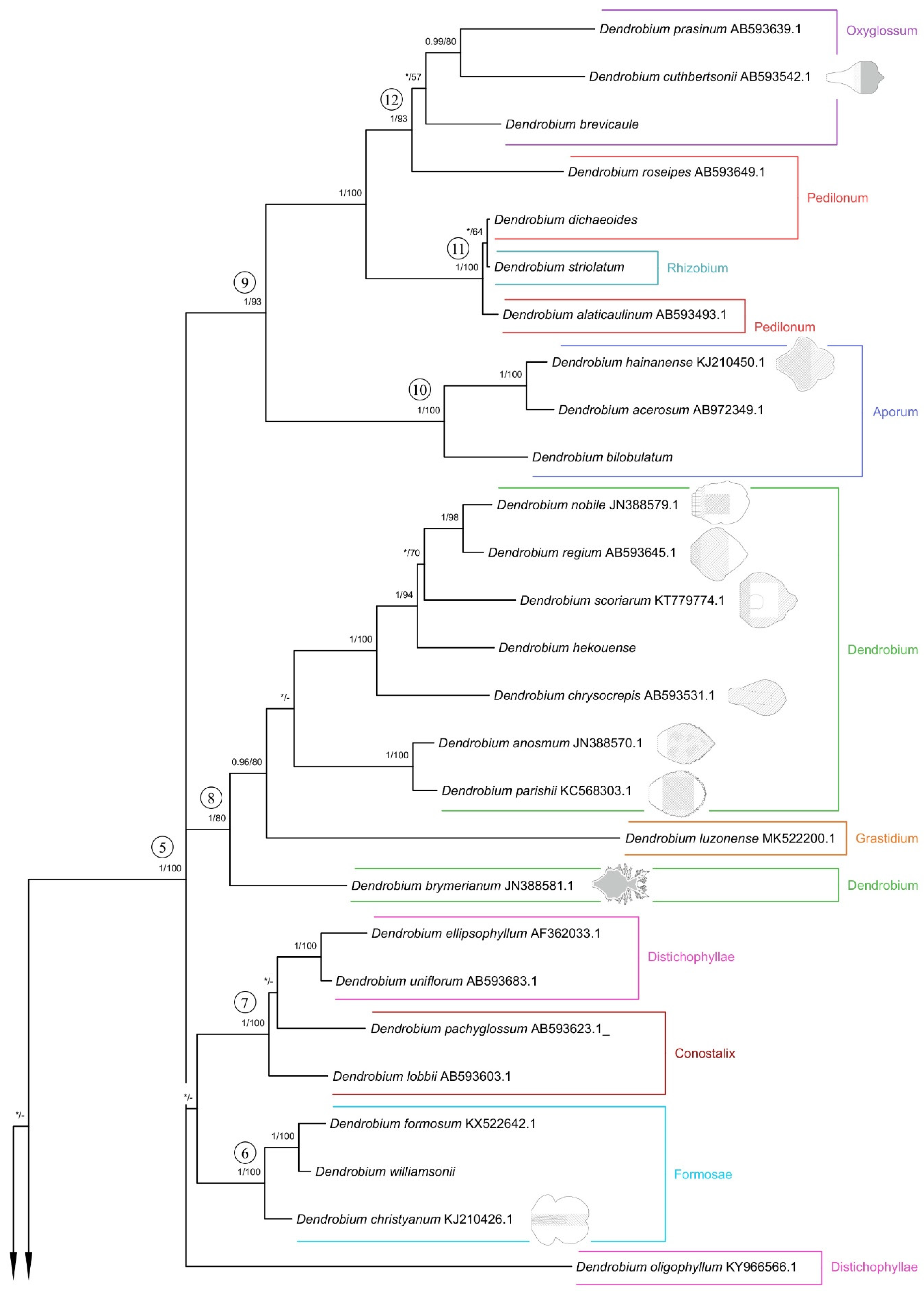 Ijms 23 09578 g026 Ijms 23 09578 g026