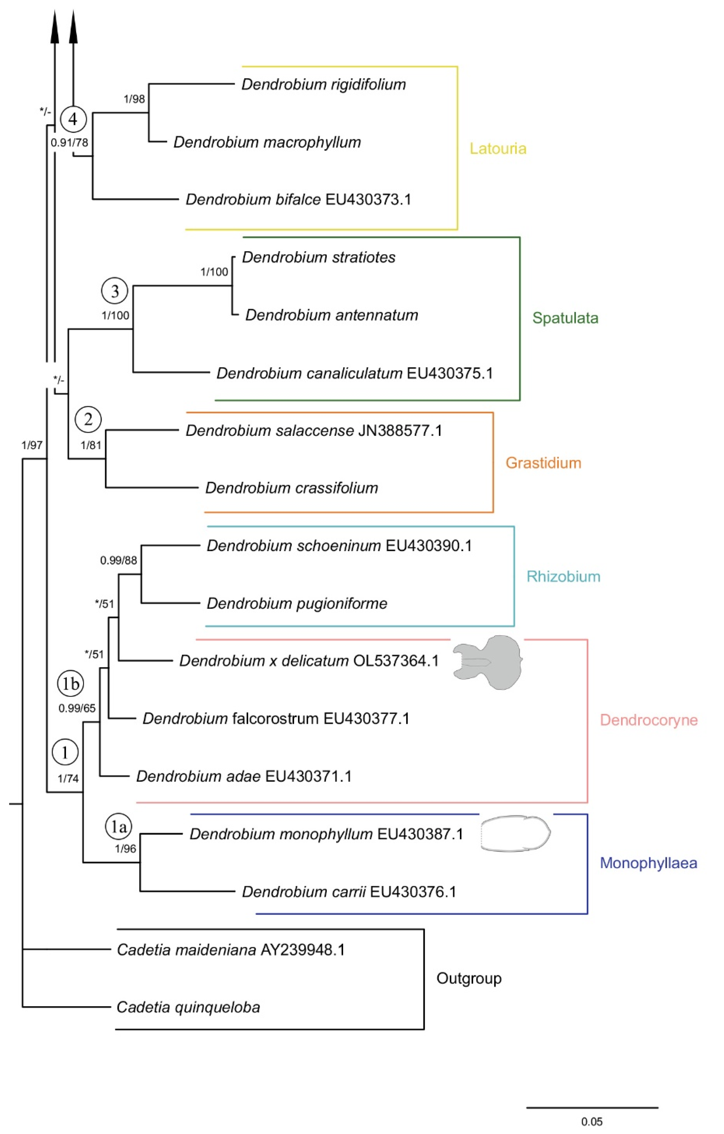 Ijms 23 09578 g027 Ijms 23 09578 g027