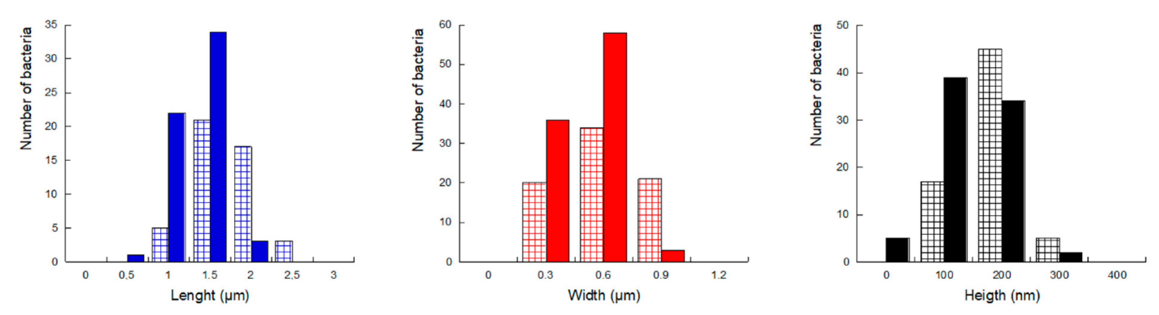 Ijms 23 09579 g004 Ijms 23 09579 g004