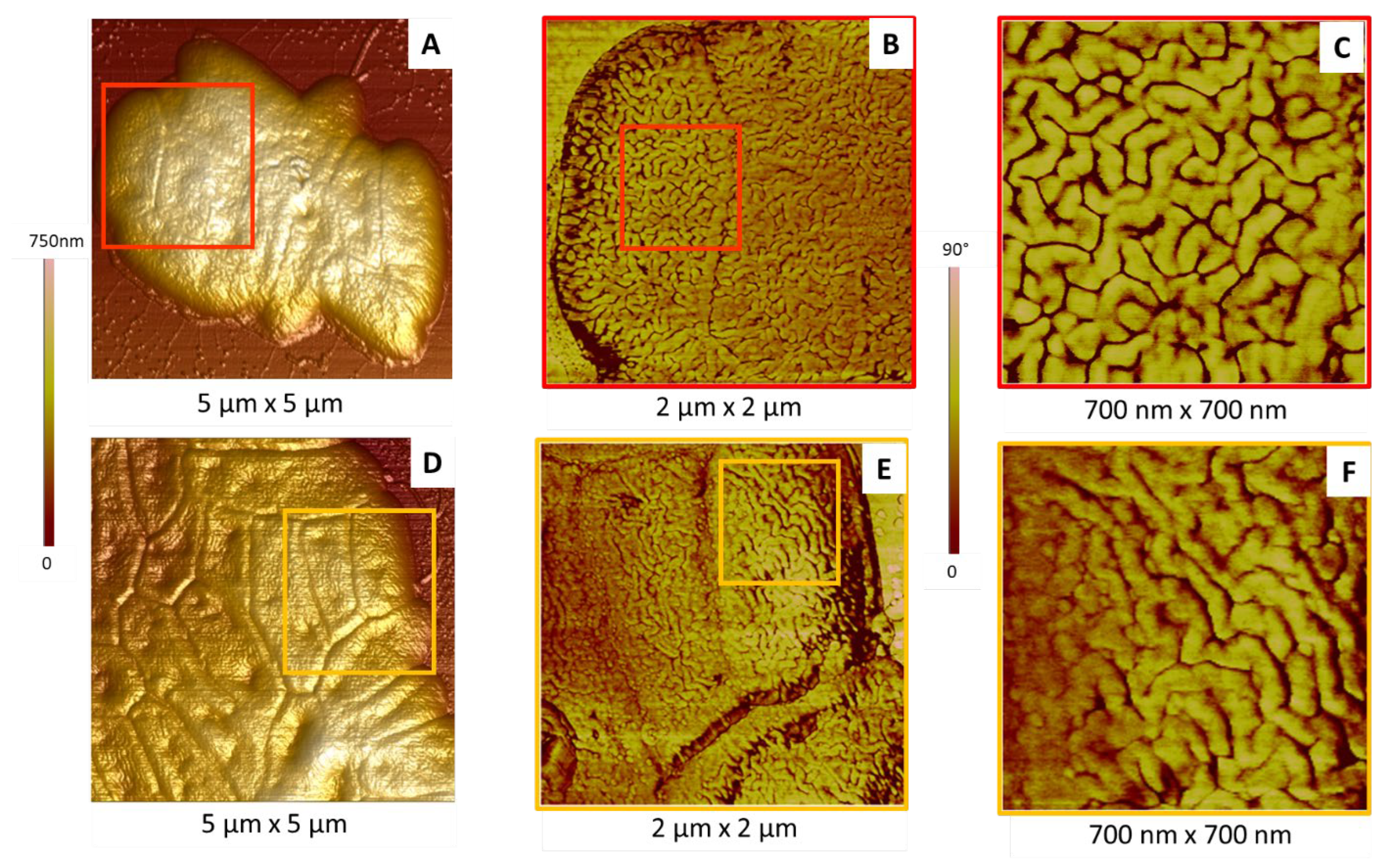 Ijms 23 09579 g005 Ijms 23 09579 g005