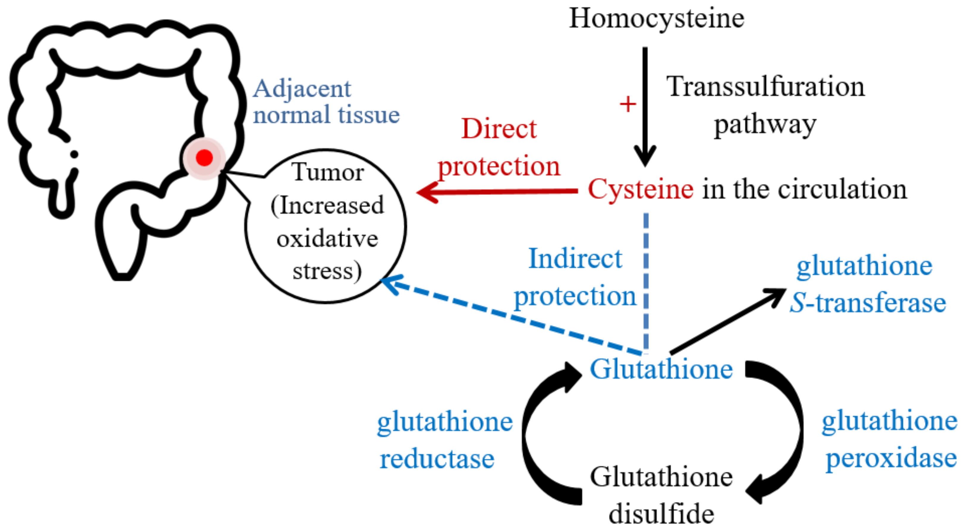 Ijms 23 09581 g001 550