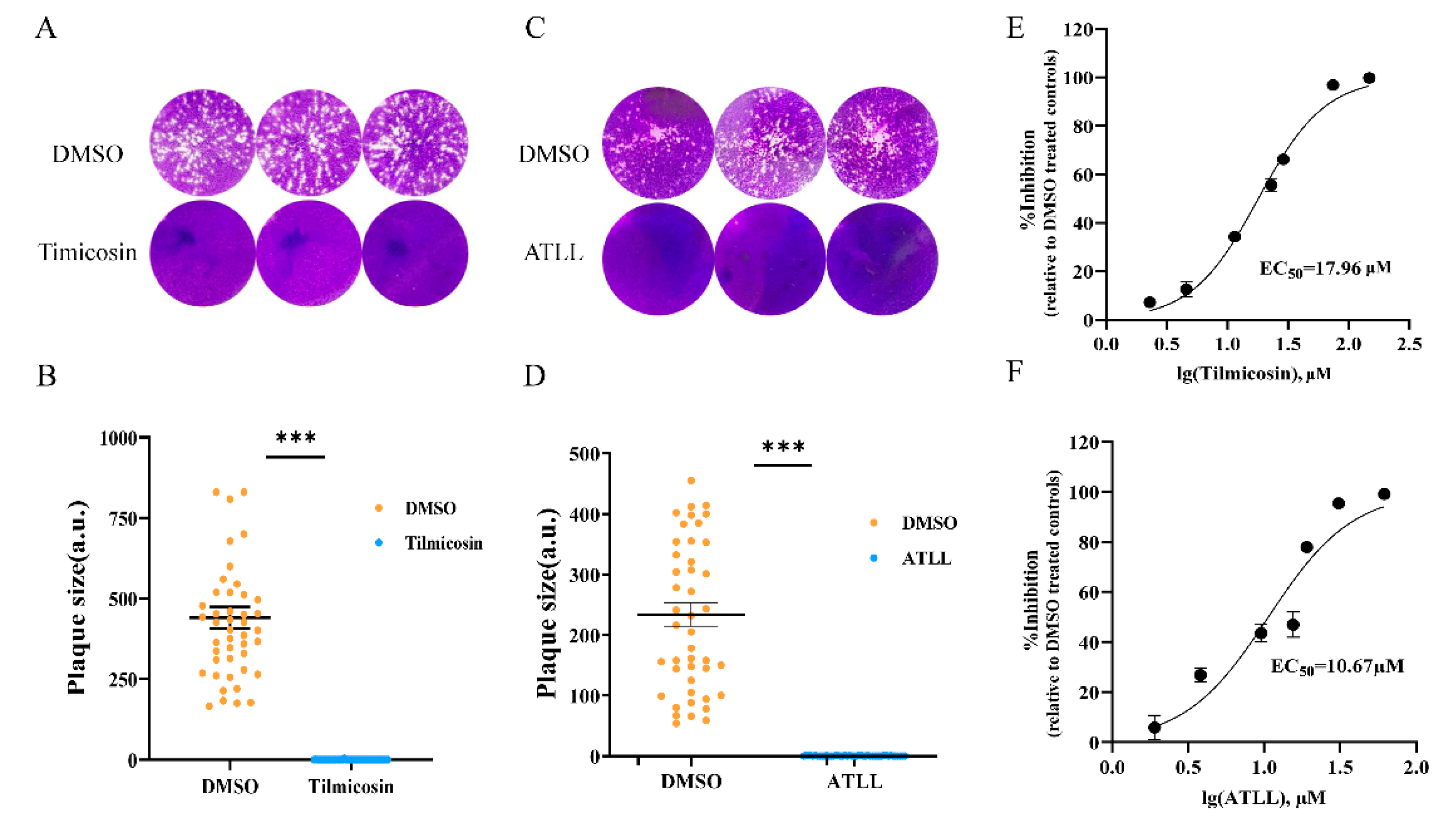 Ijms 23 09586 g002 Ijms 23 09586 g002