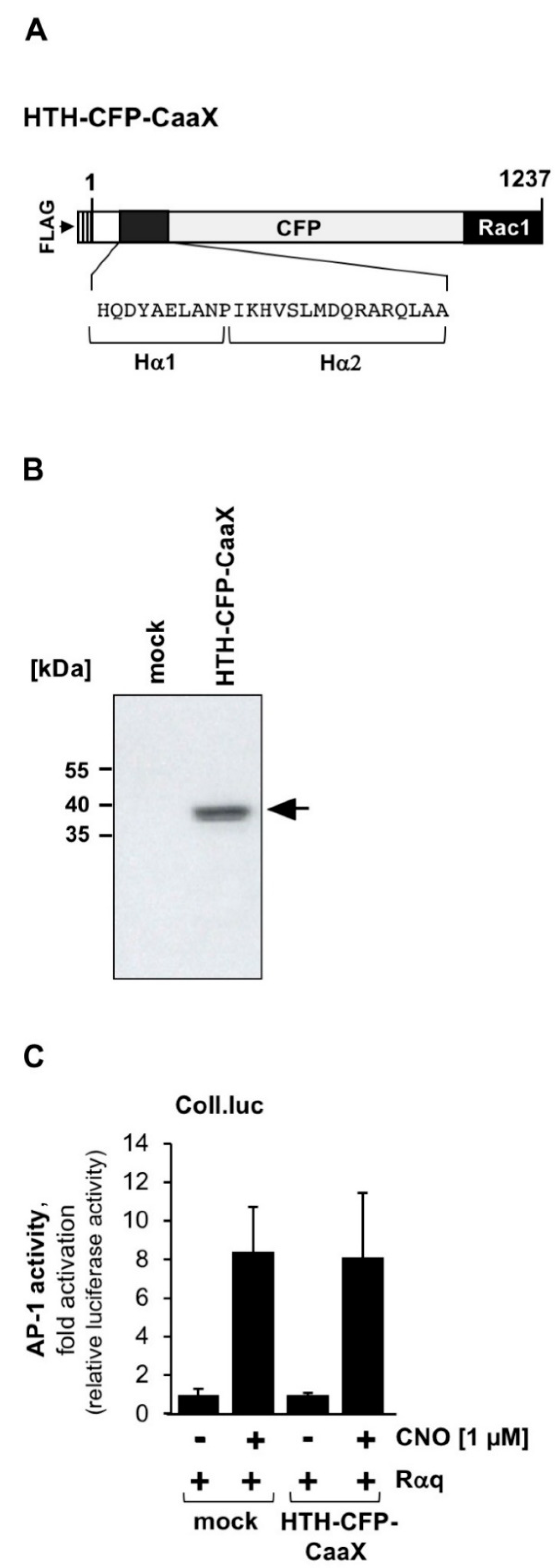 Ijms 23 09590 g003 550