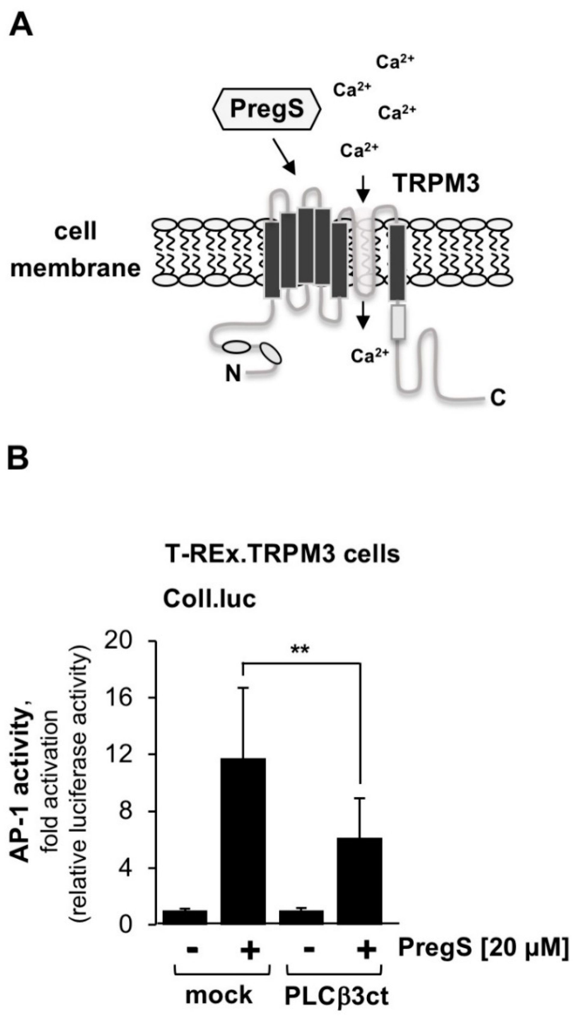 Ijms 23 09590 g006 550