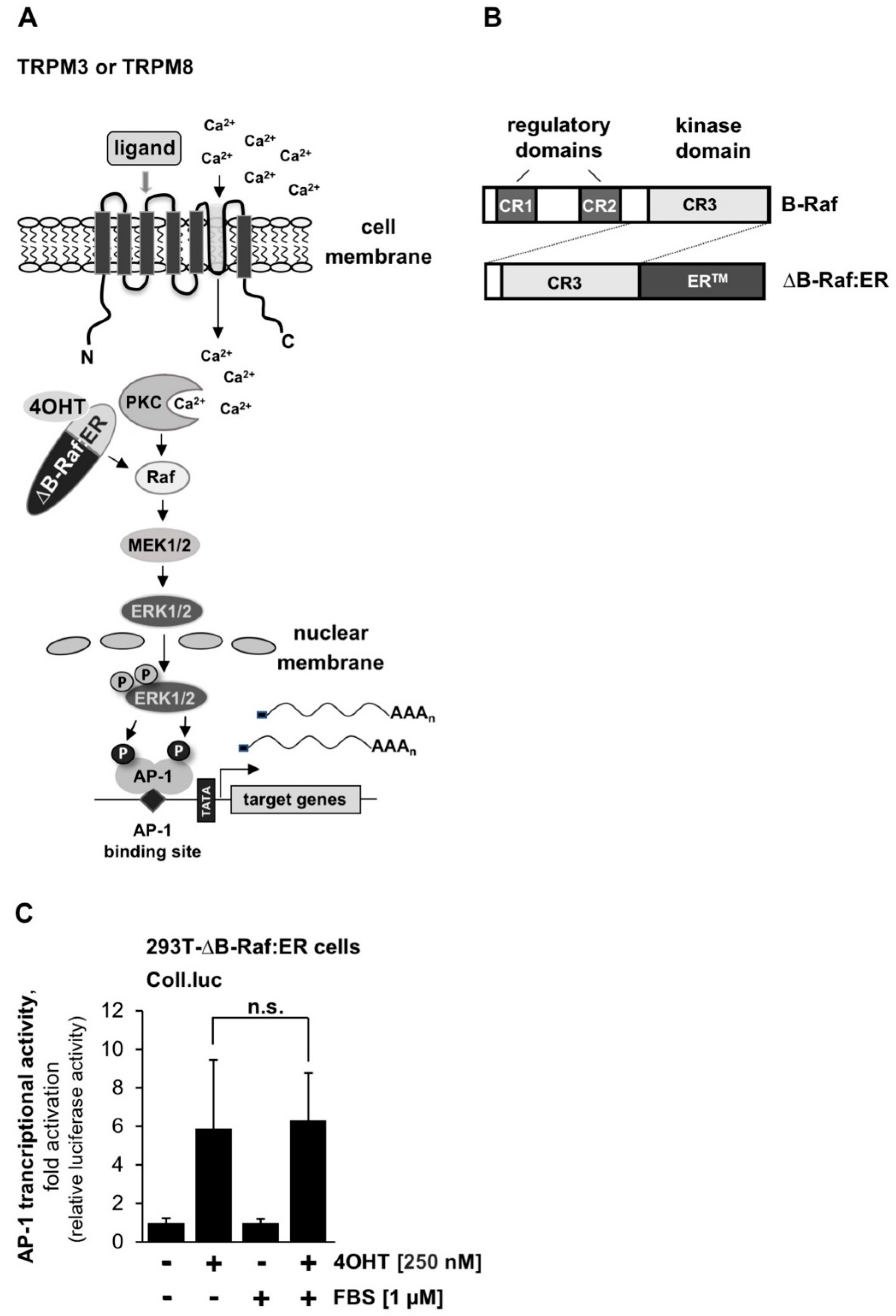 Ijms 23 09590 g008 550