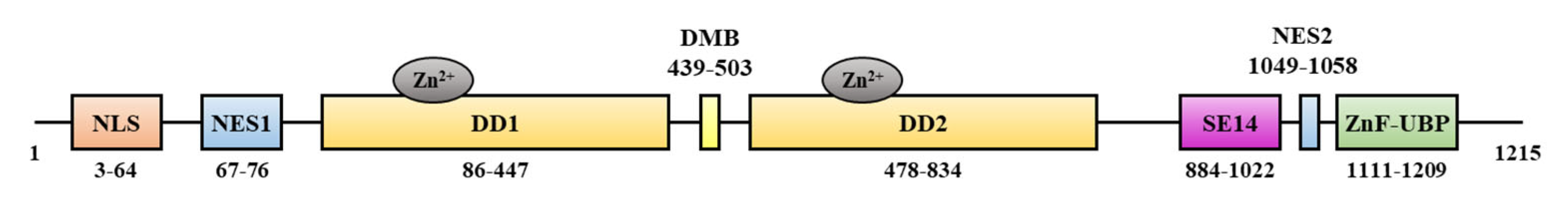 Ijms 23 09592 g001 550