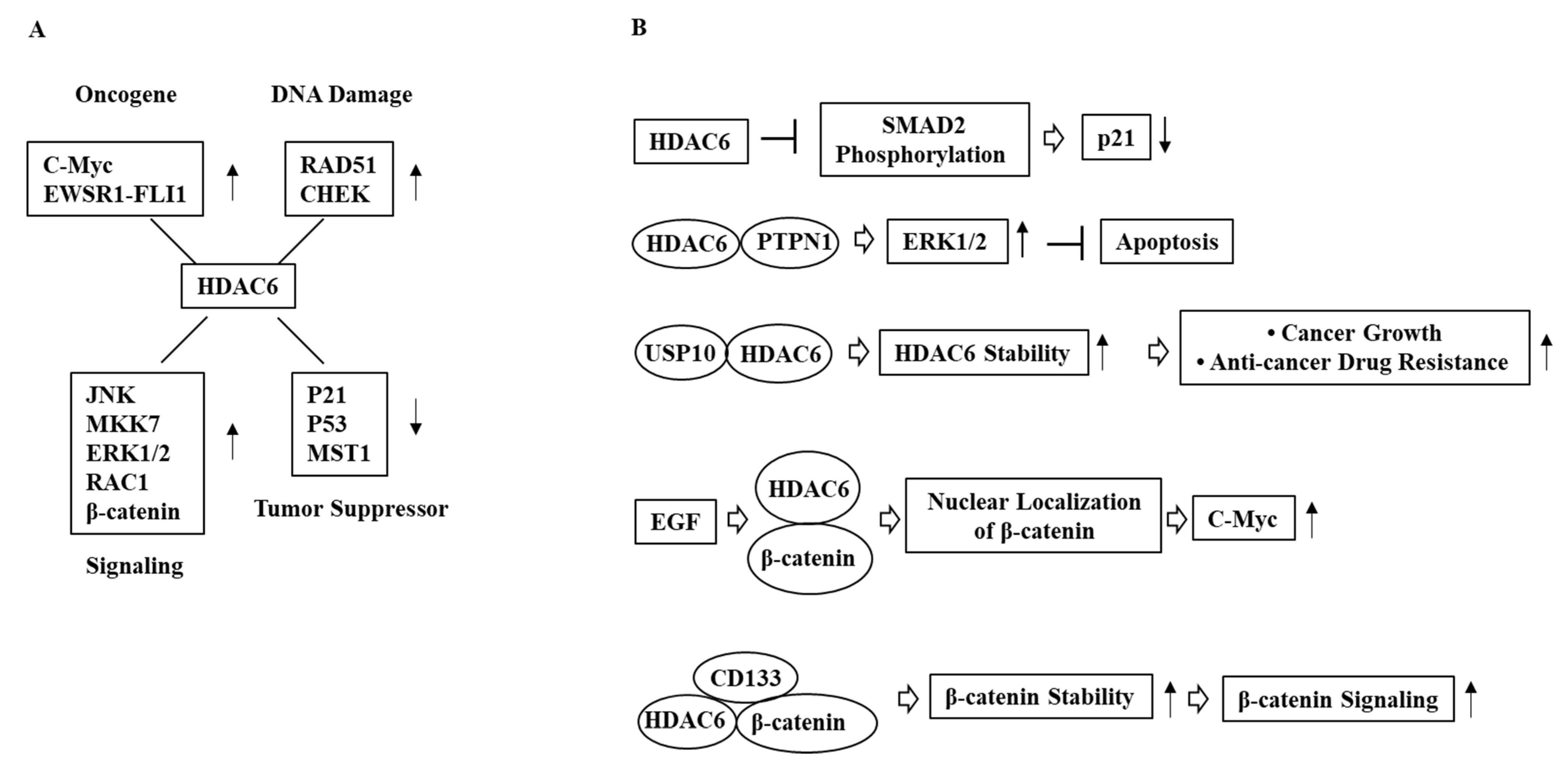 Ijms 23 09592 g002 550