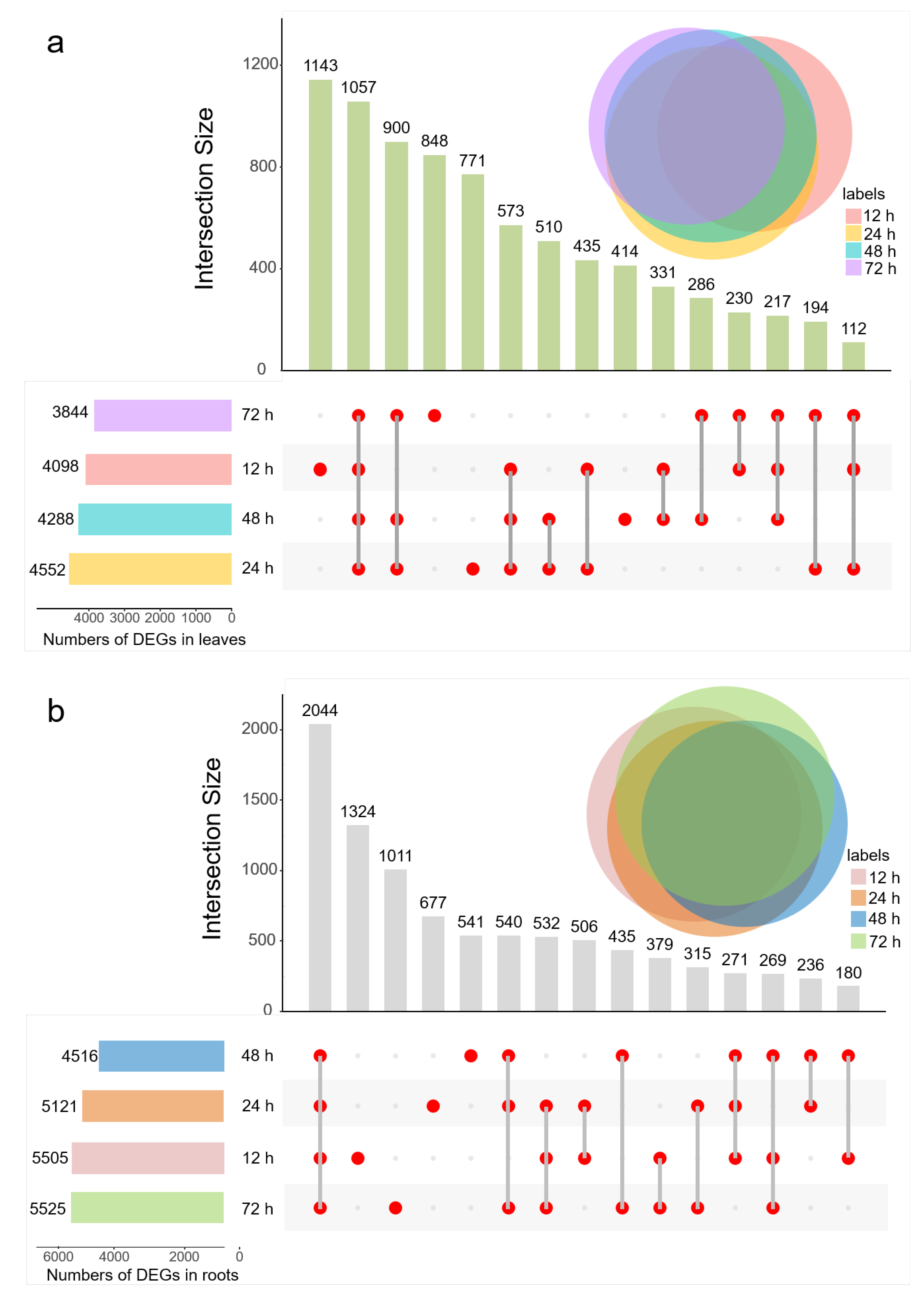 Ijms 23 09599 g003 Ijms 23 09599 g003