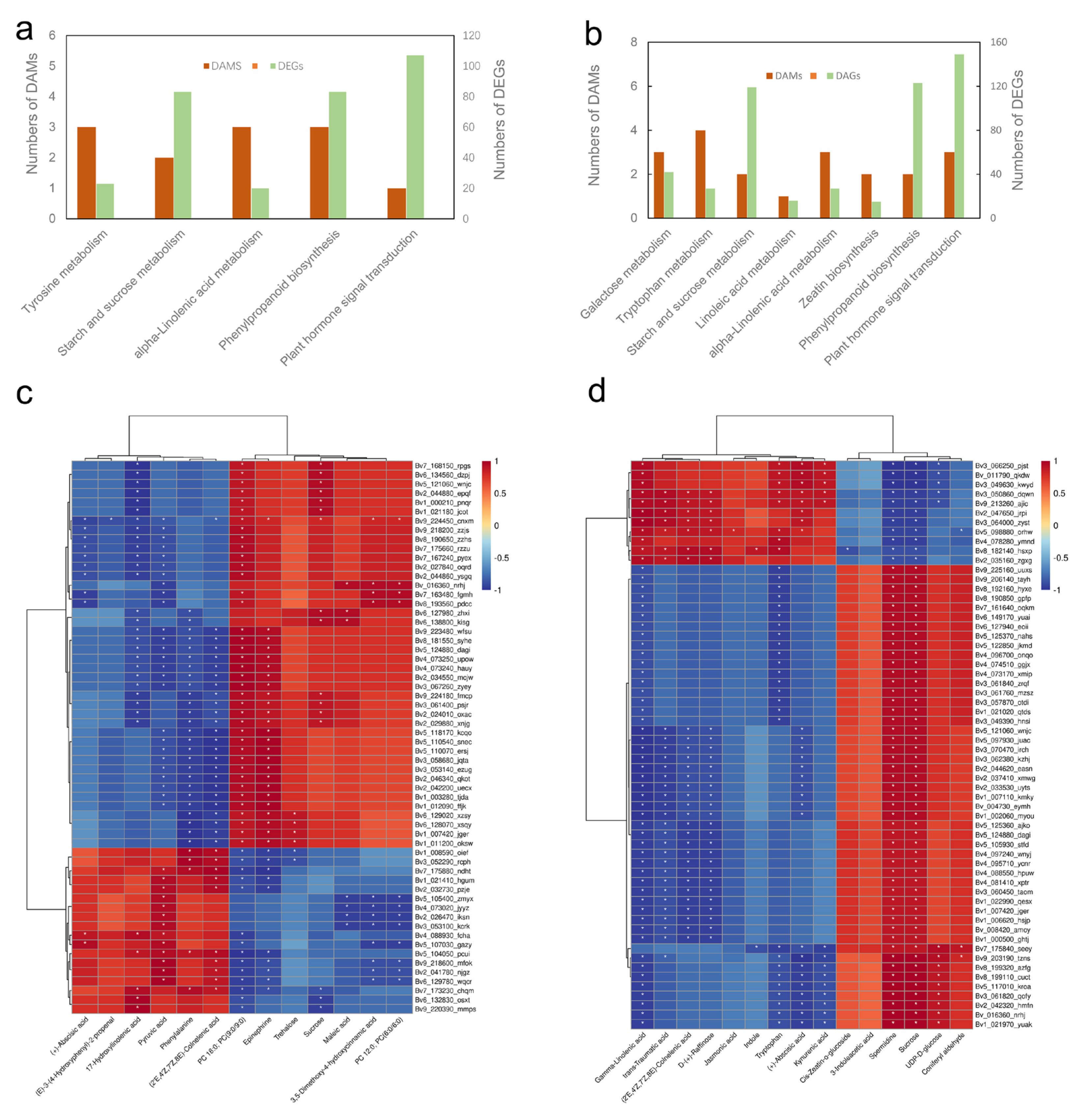 Ijms 23 09599 g009 Ijms 23 09599 g009