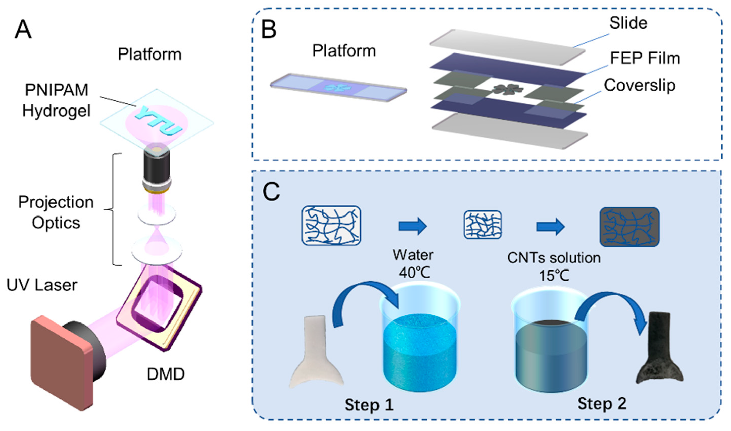 Ijms 23 09609 g001 550