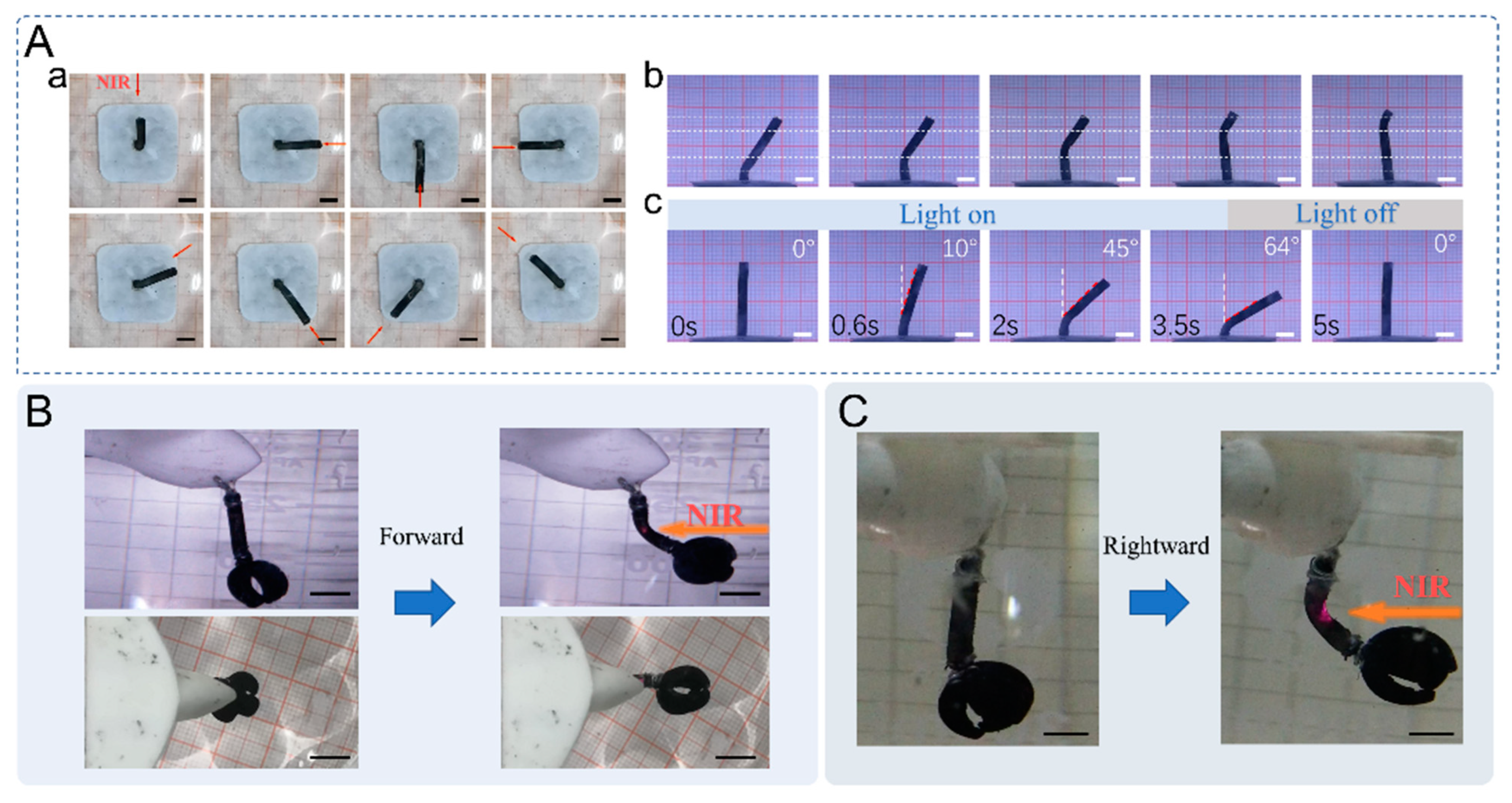 Ijms 23 09609 g005 550