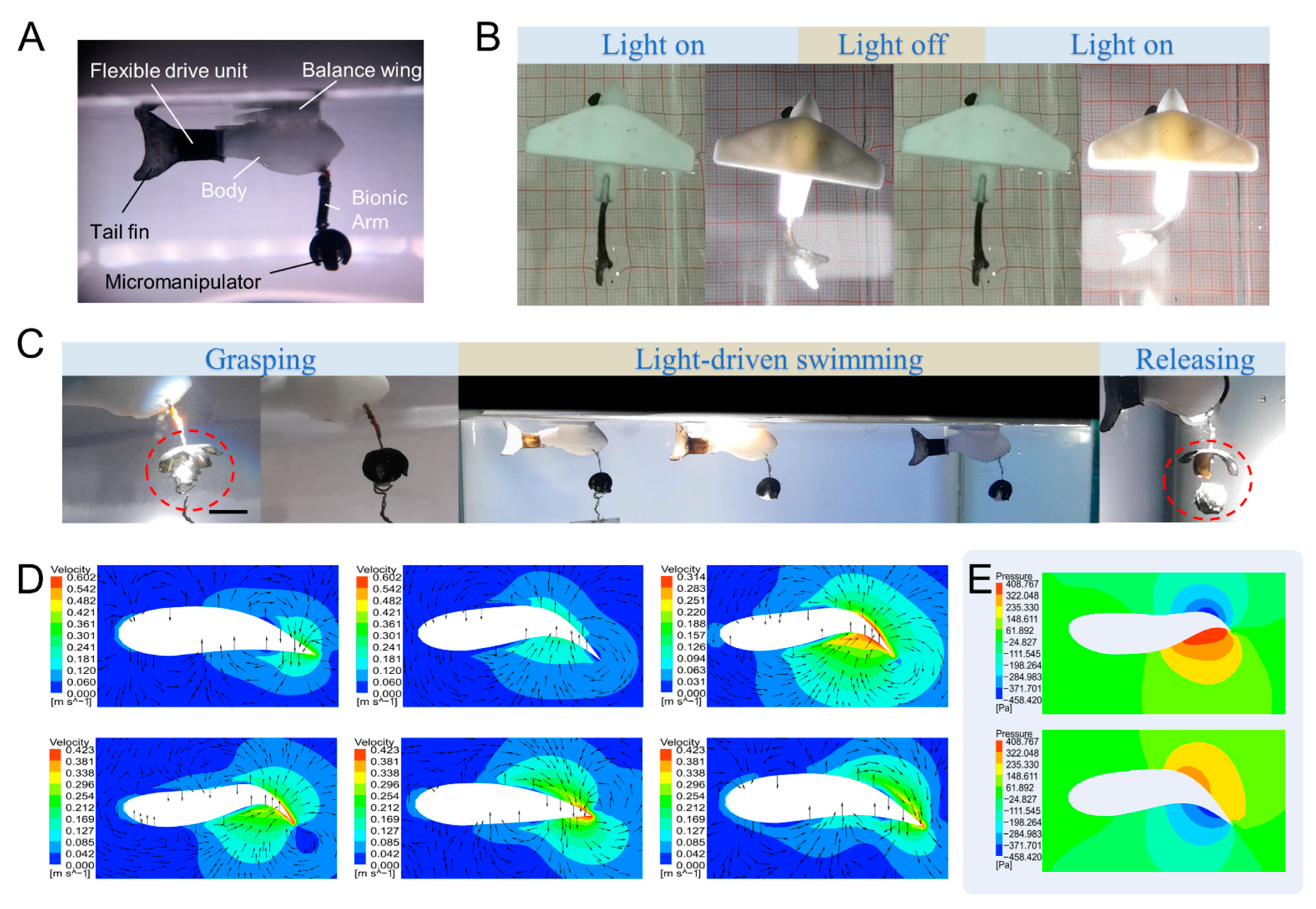 Ijms 23 09609 g006 550