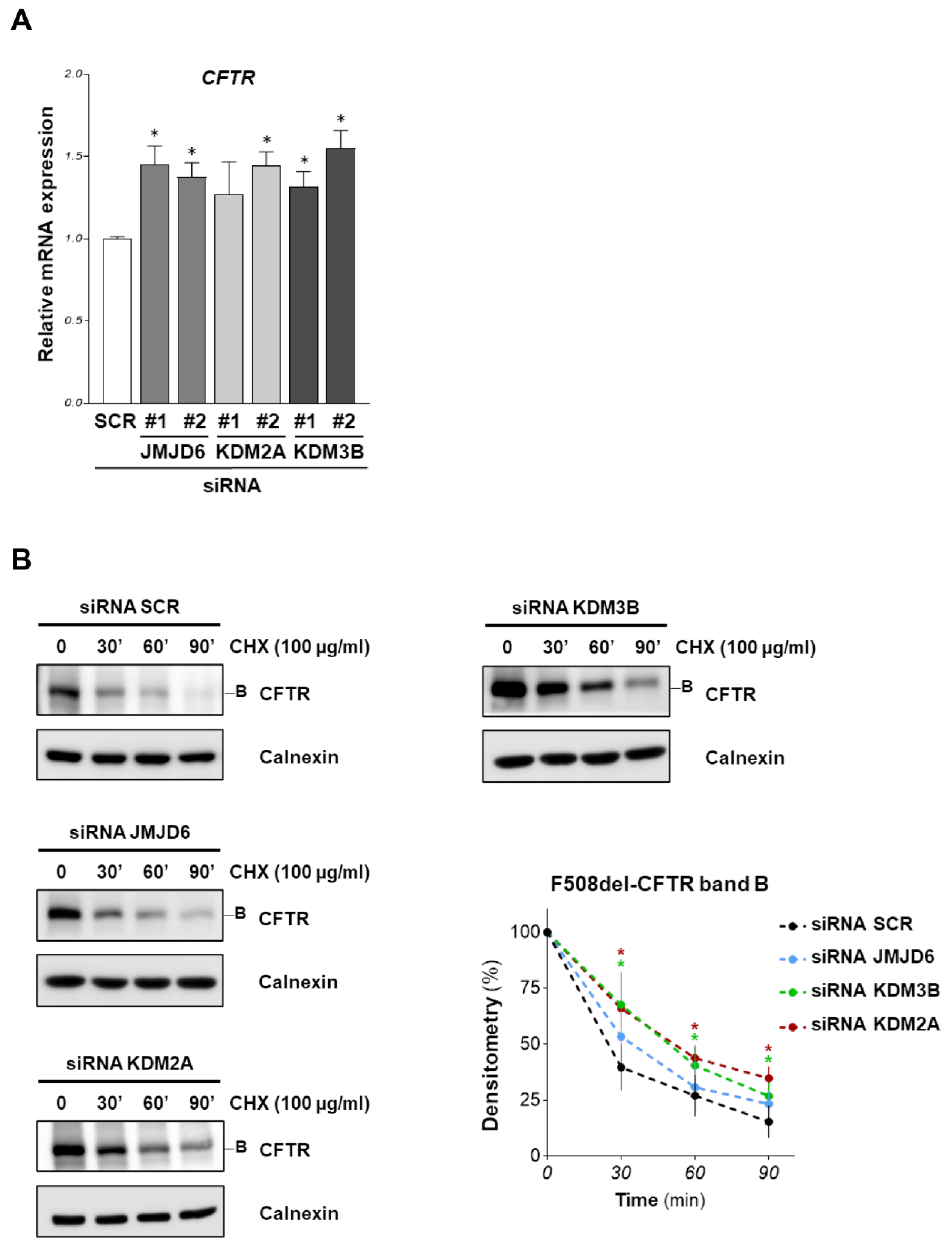 Ijms 23 09612 g003 550