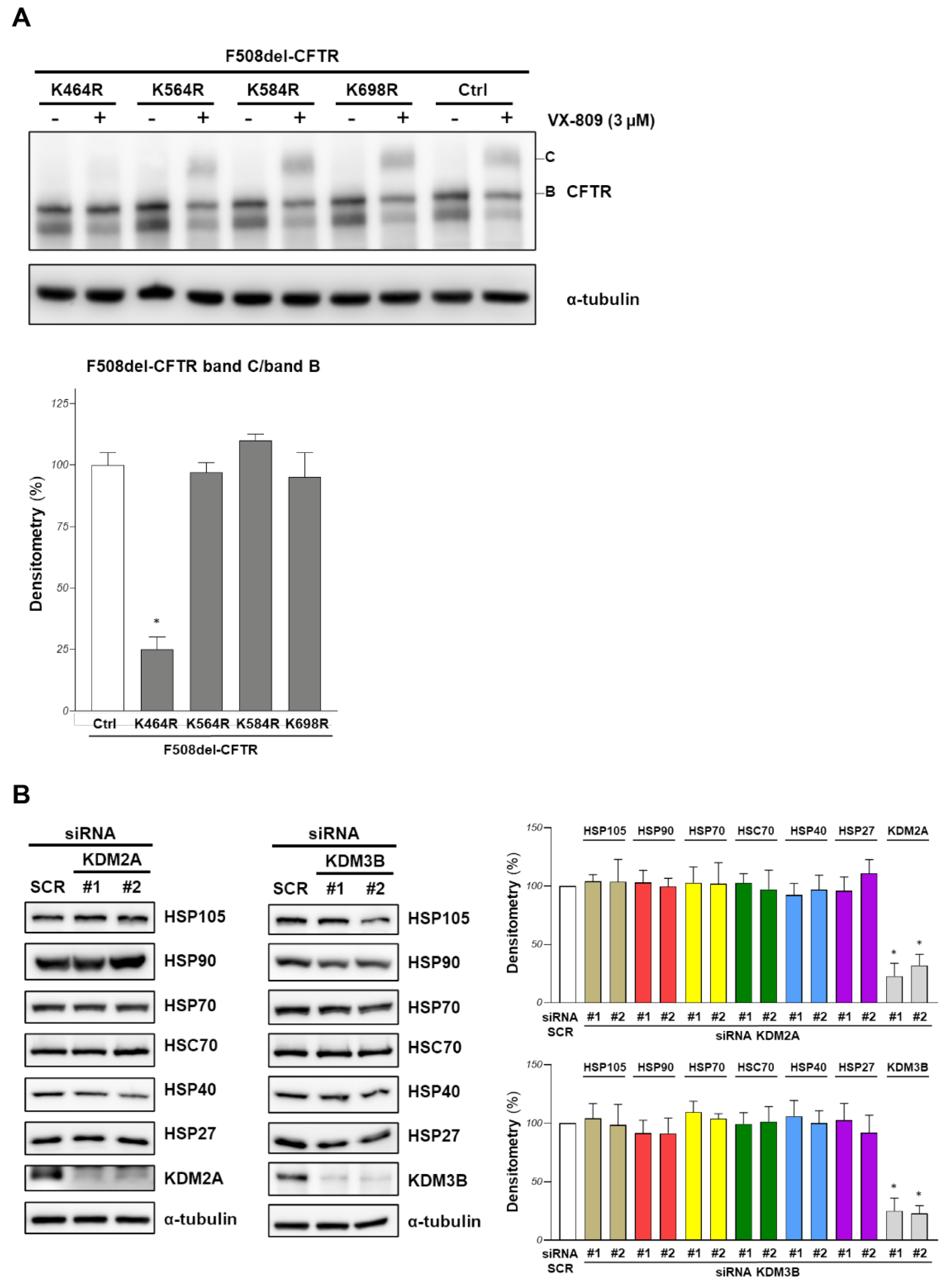 Ijms 23 09612 g004 550