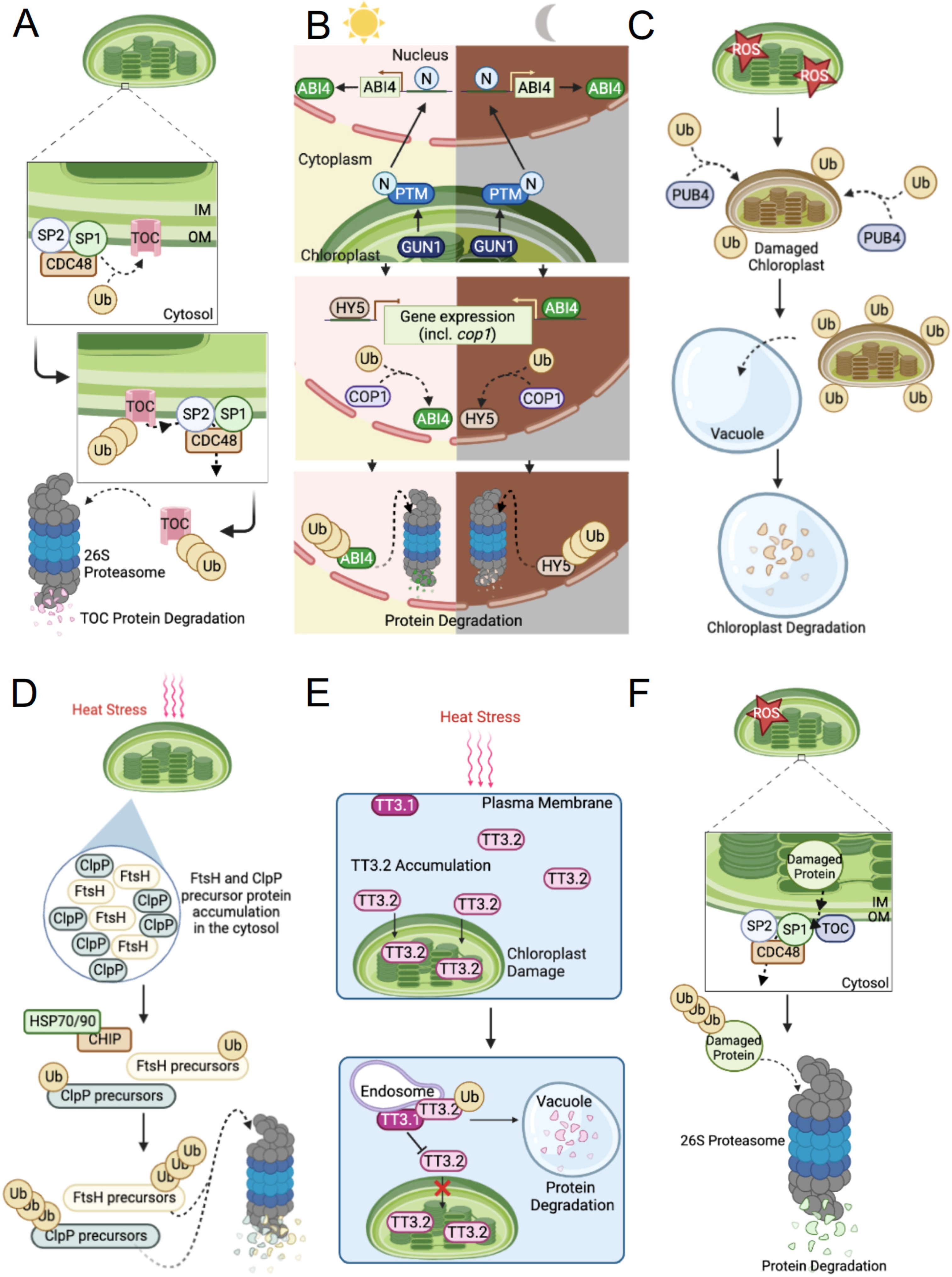 Ijms 23 09613 g001 Ijms 23 09613 g001