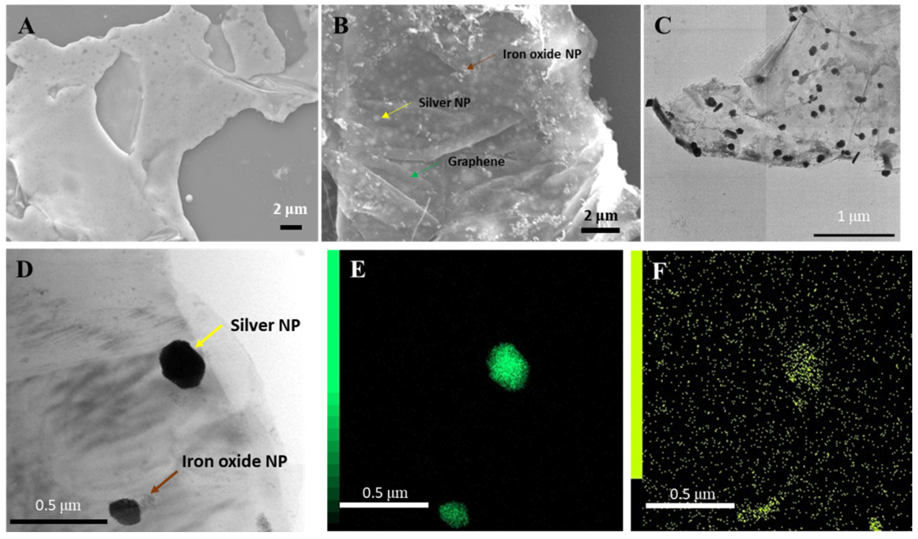 Ijms 23 09619 g001 550