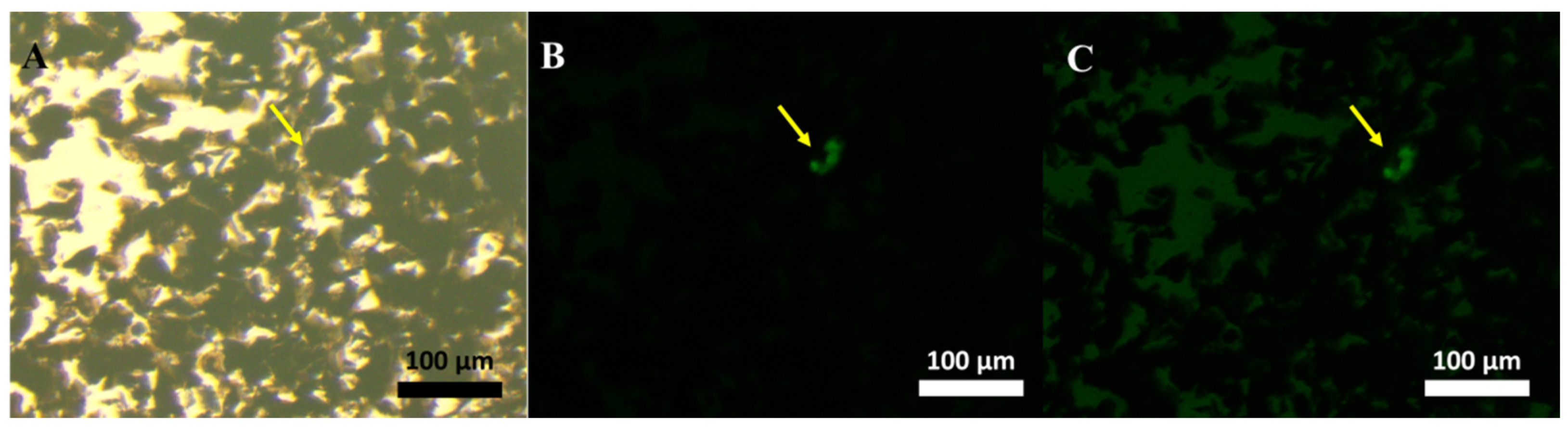 Ijms 23 09619 g004 550