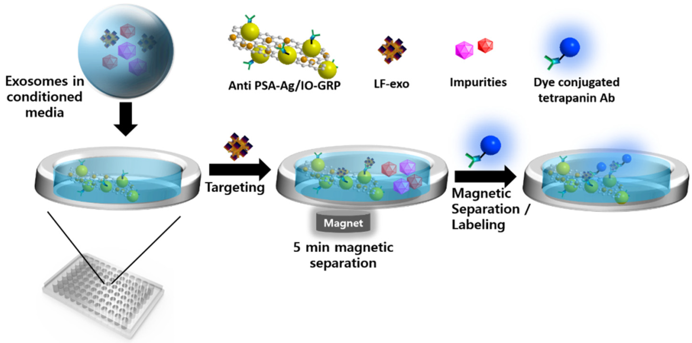 Ijms 23 09619 g006 550