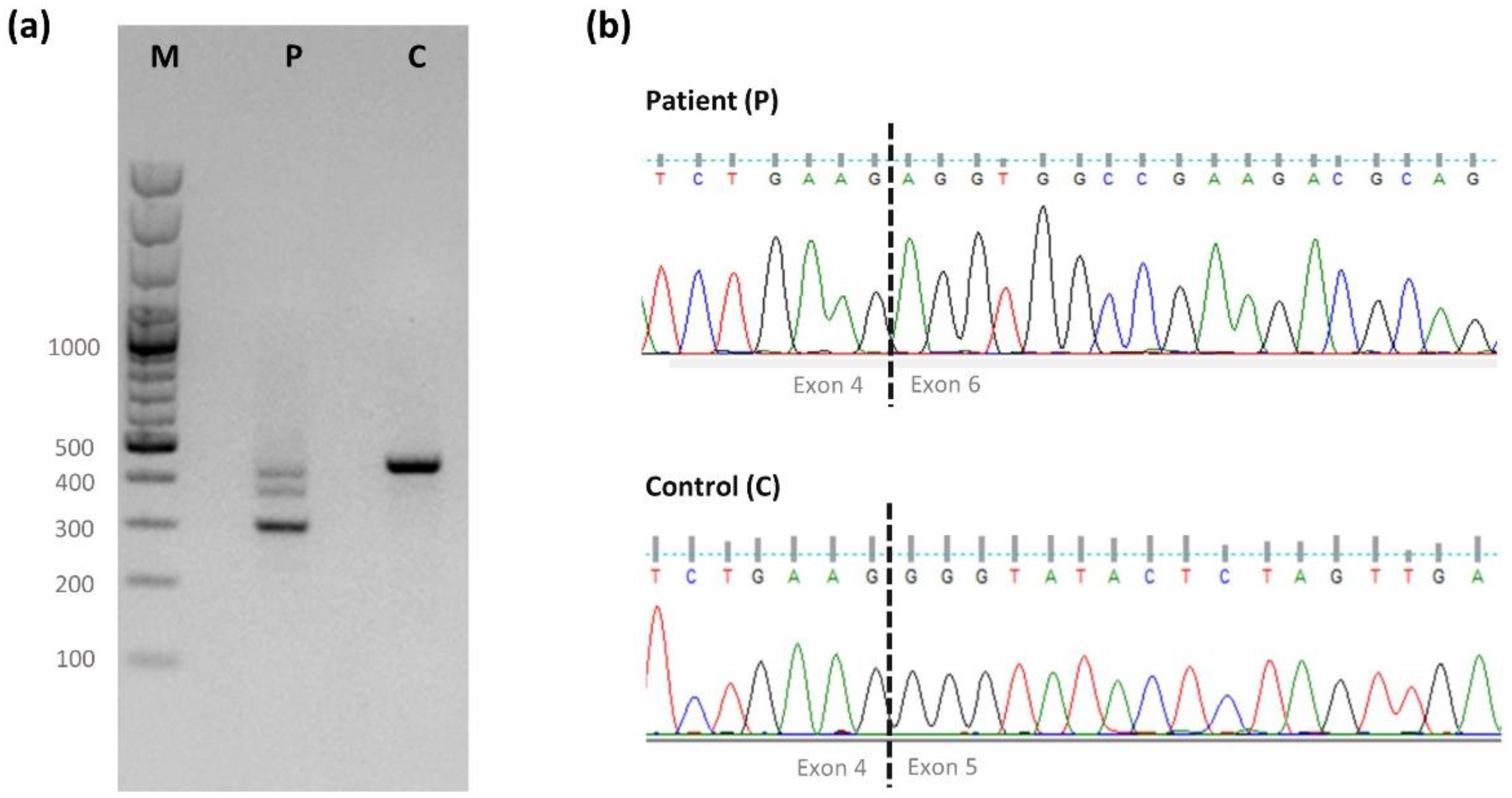 Ijms 23 09621 g001 Ijms 23 09621 g001
