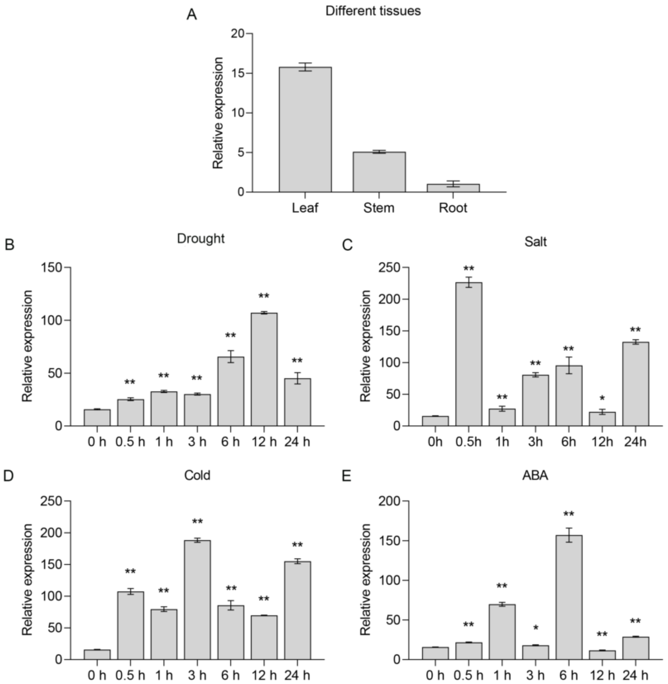 Ijms 23 09625 g002 Ijms 23 09625 g002