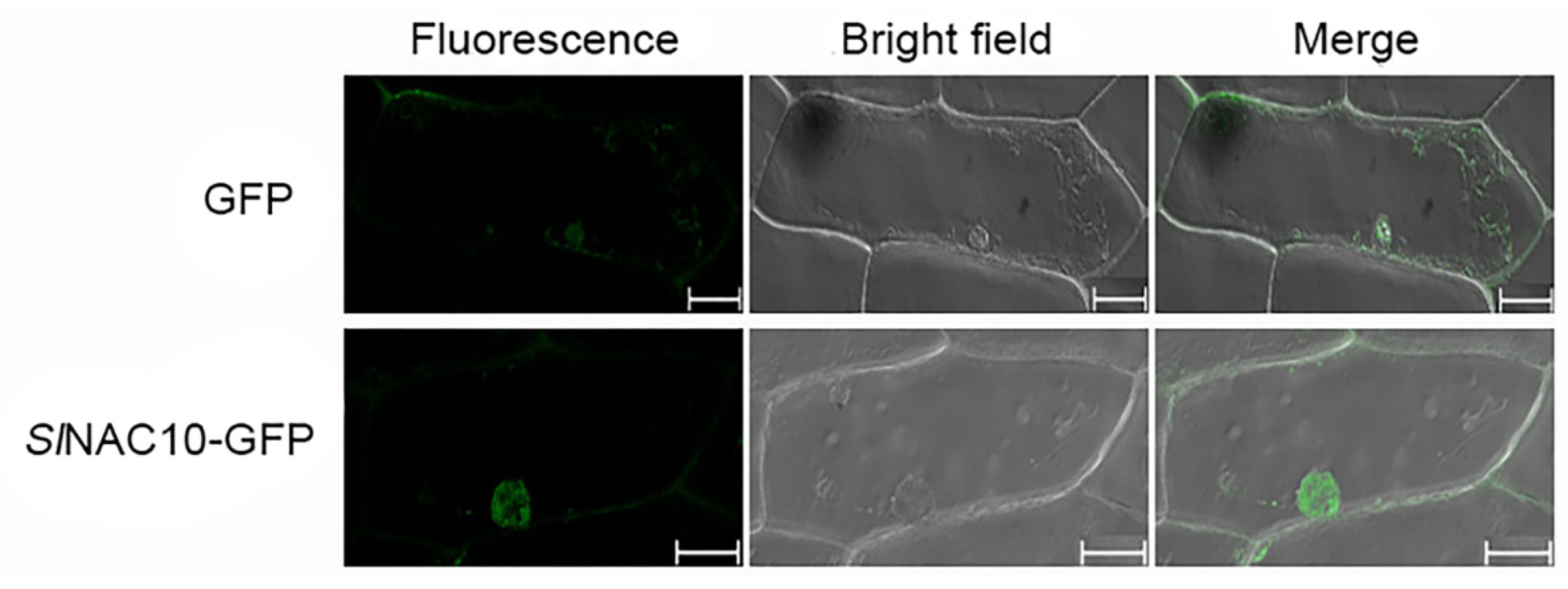 Ijms 23 09625 g003 Ijms 23 09625 g003