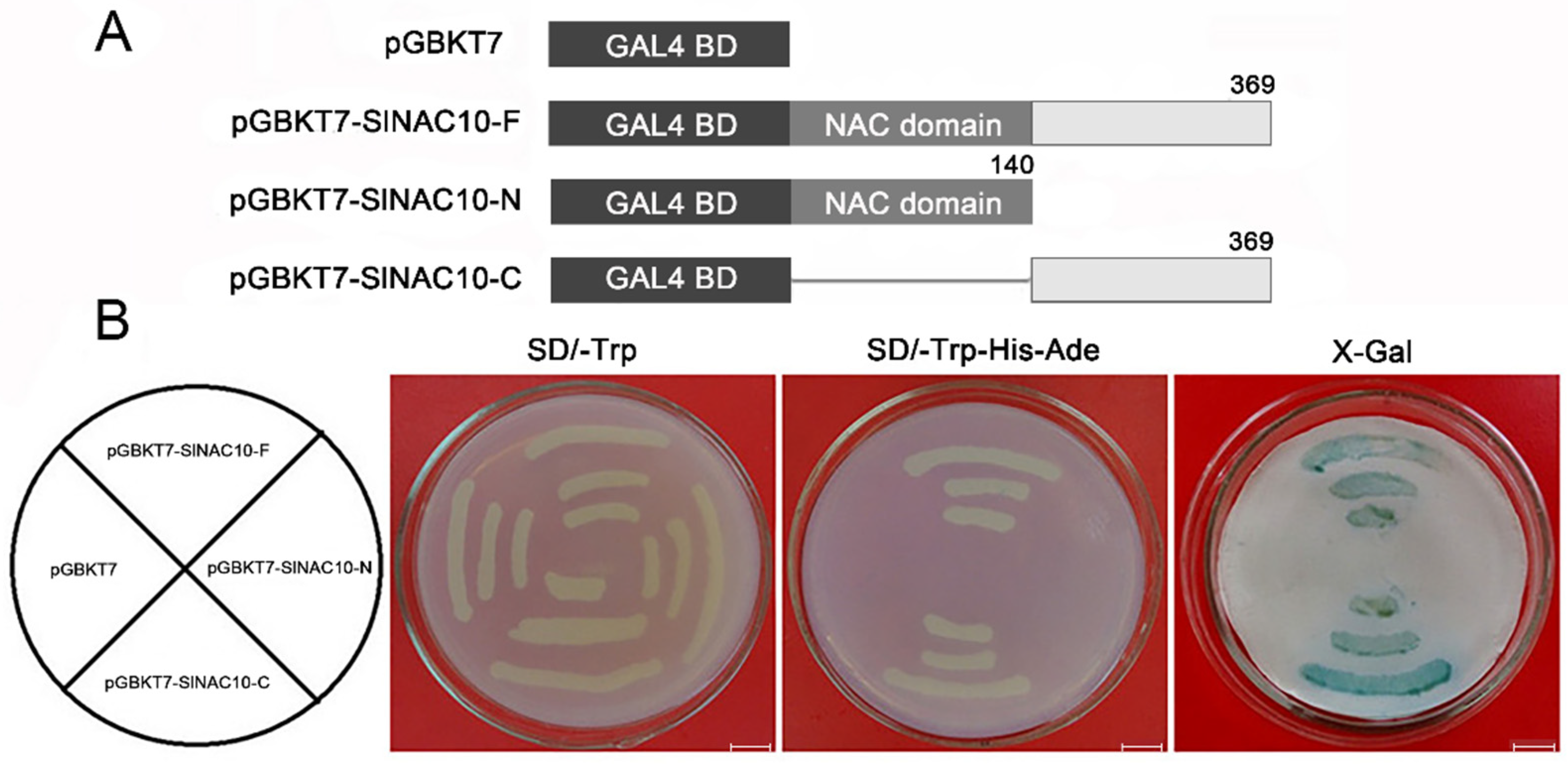 Ijms 23 09625 g004 Ijms 23 09625 g004