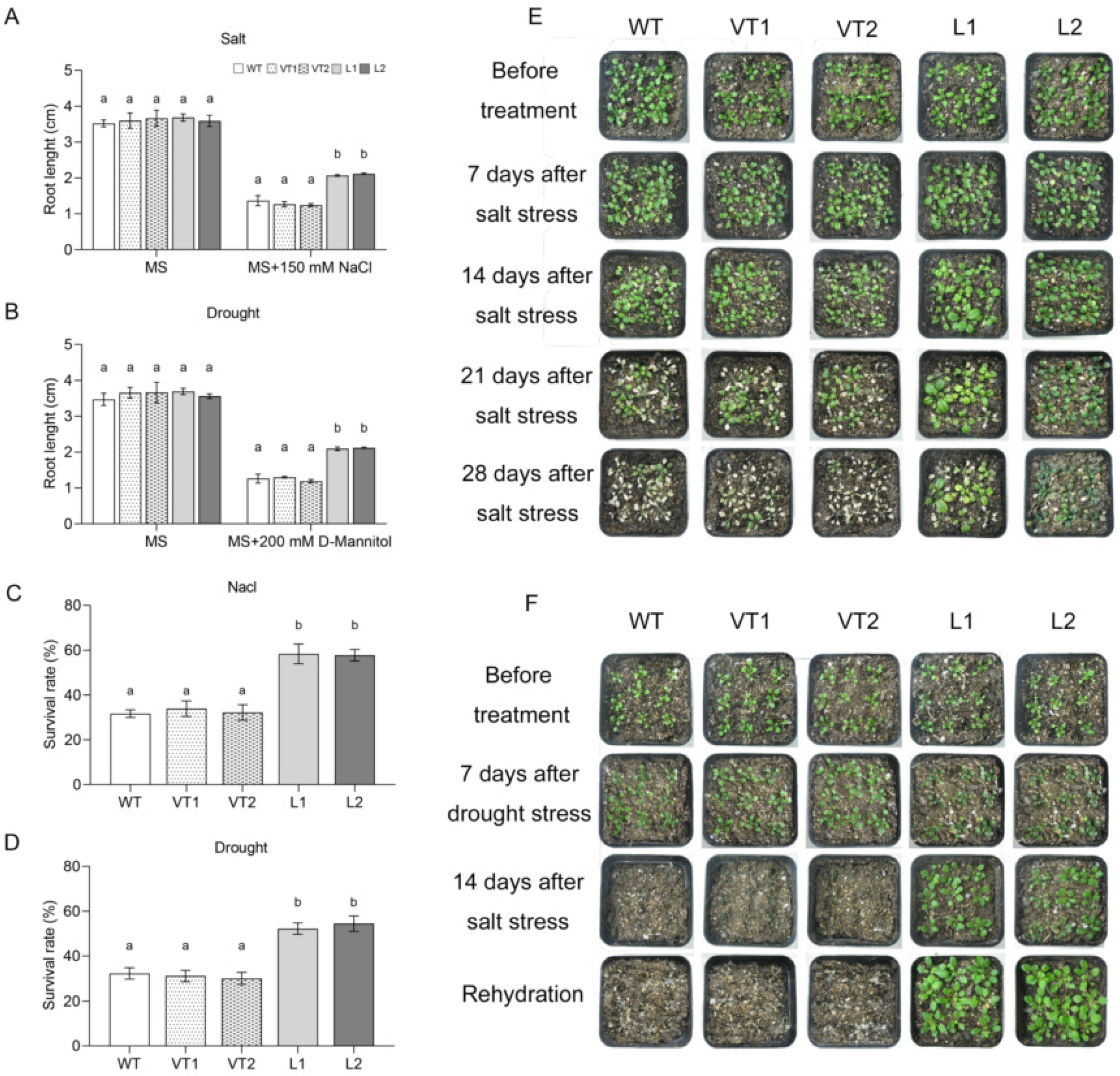 Ijms 23 09625 g005 Ijms 23 09625 g005
