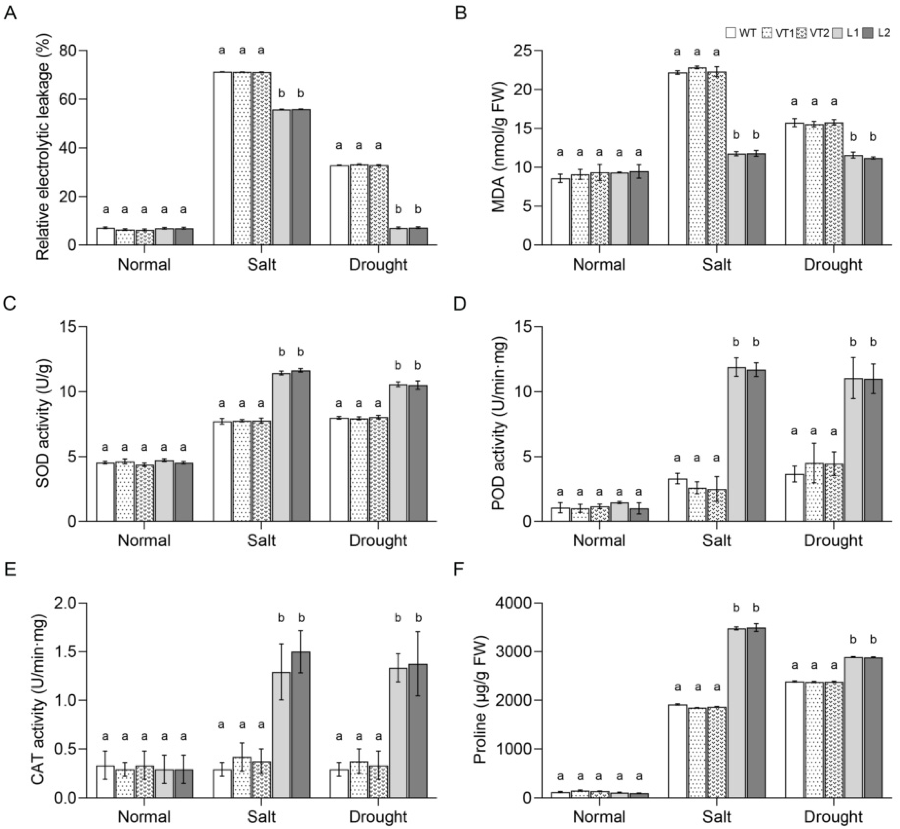 Ijms 23 09625 g007 Ijms 23 09625 g007