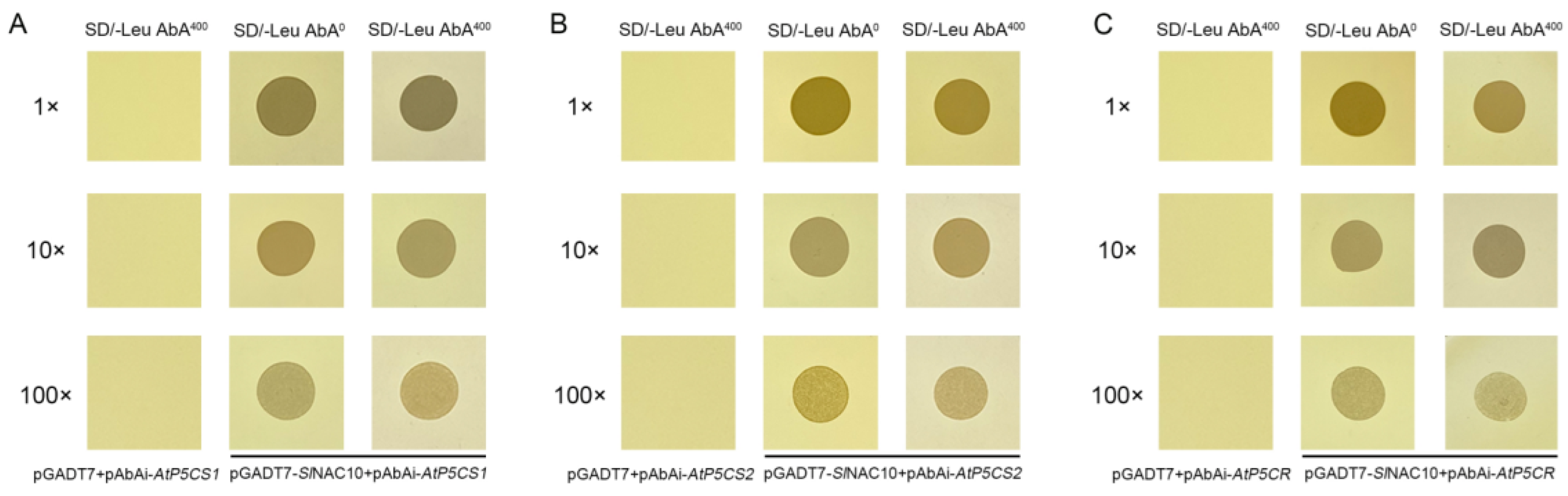 Ijms 23 09625 g009 Ijms 23 09625 g009