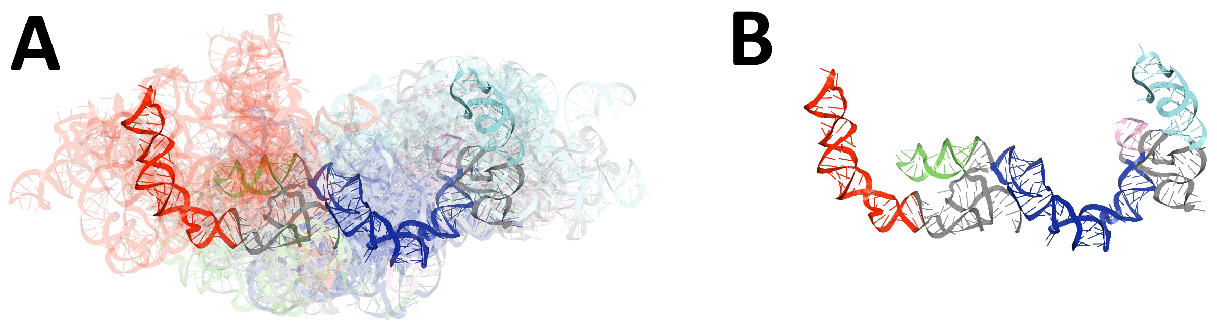 Ijms 23 09630 g006 550