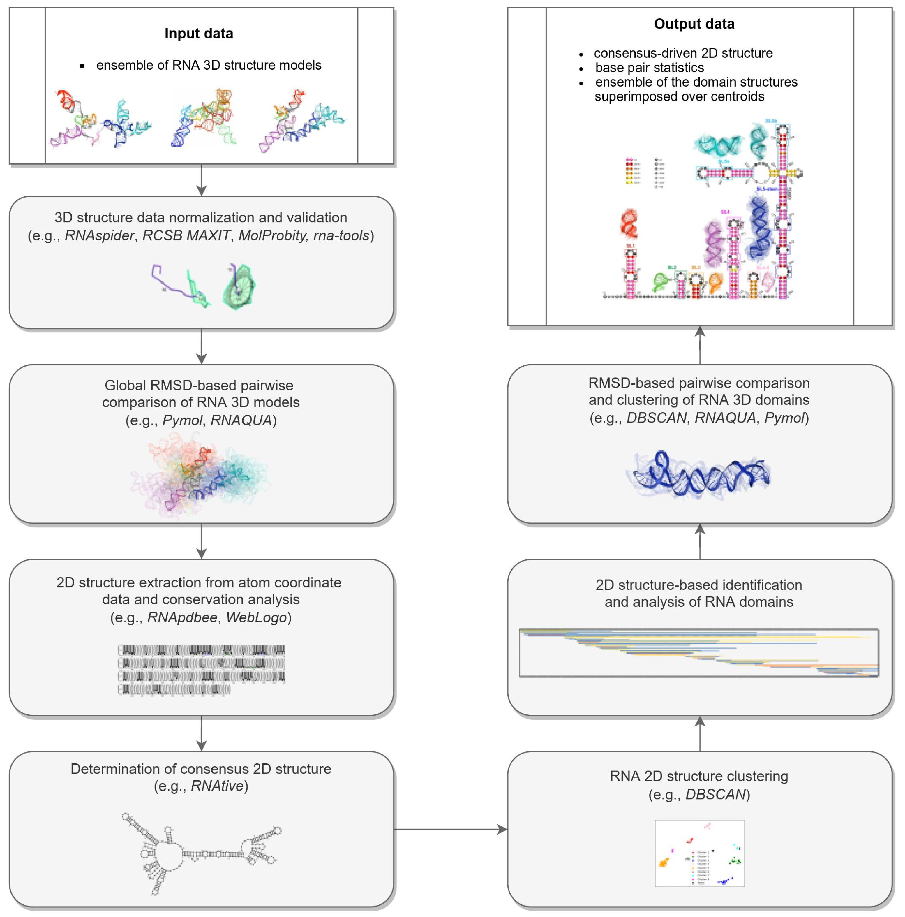 Ijms Free Full Text Computational Pipeline For Reference Free Comparative Analysis Of Rna 3d Structures Applied To Sars Cov 2 Utr Models Html