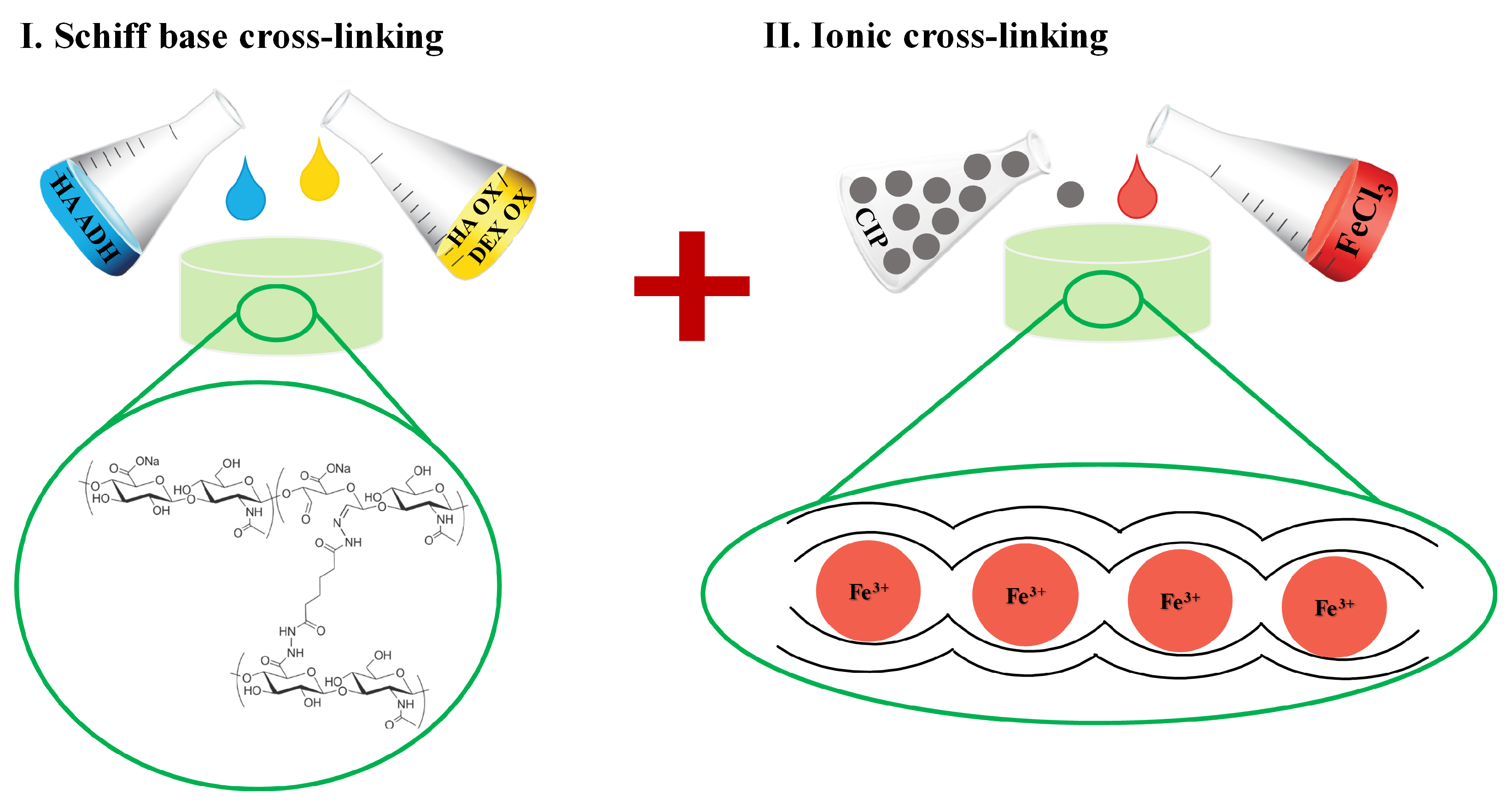 Ijms 23 09633 g005 550