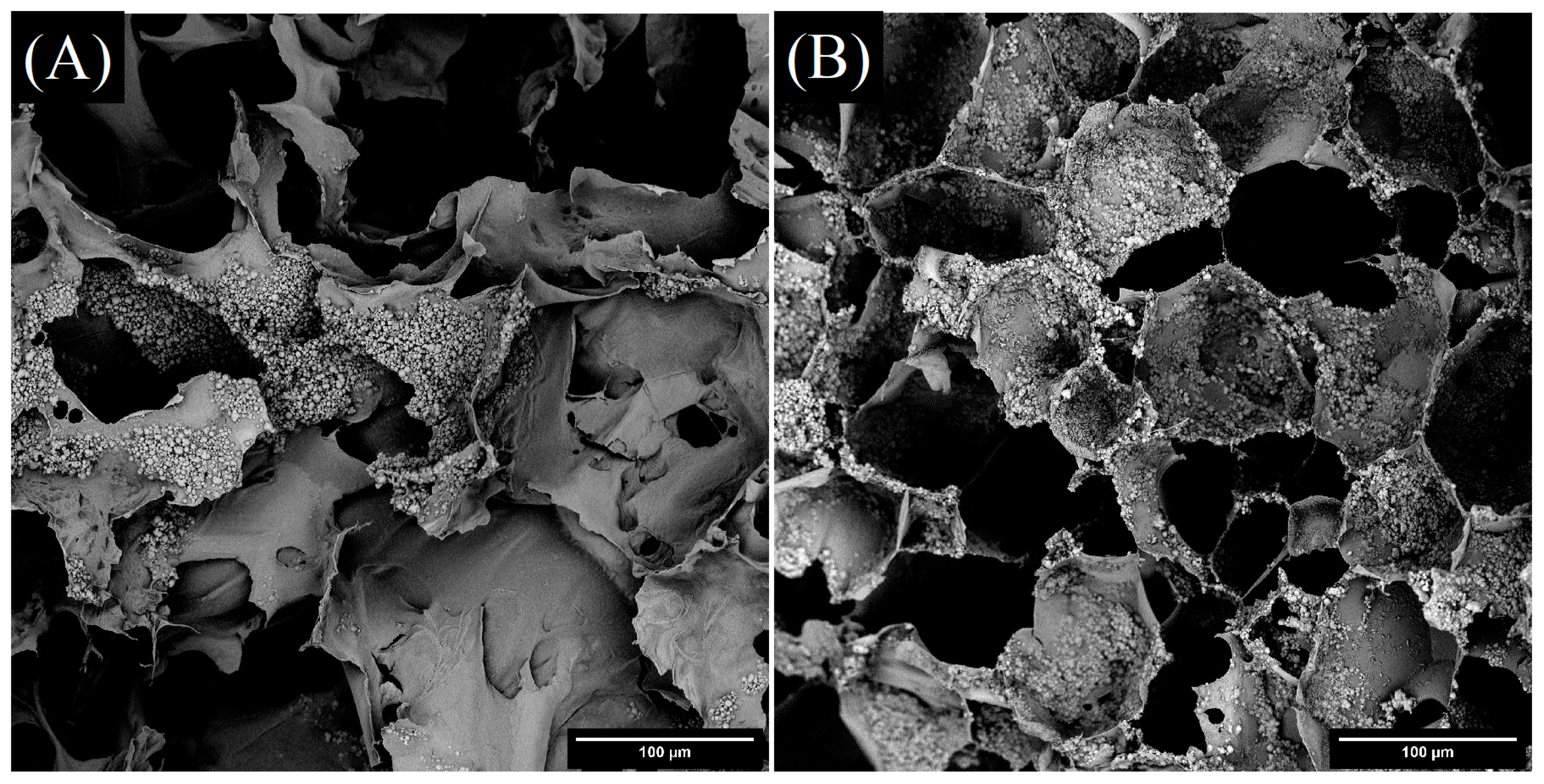 Ijms 23 09633 g015 550