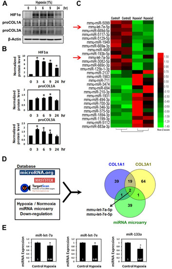 immunoblotting vs western blot immunoblotting vs western blot