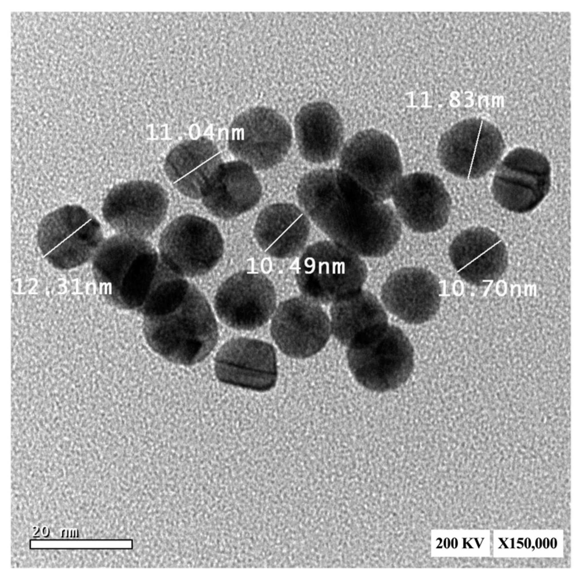 Ijms 23 09640 g006 Ijms 23 09640 g006