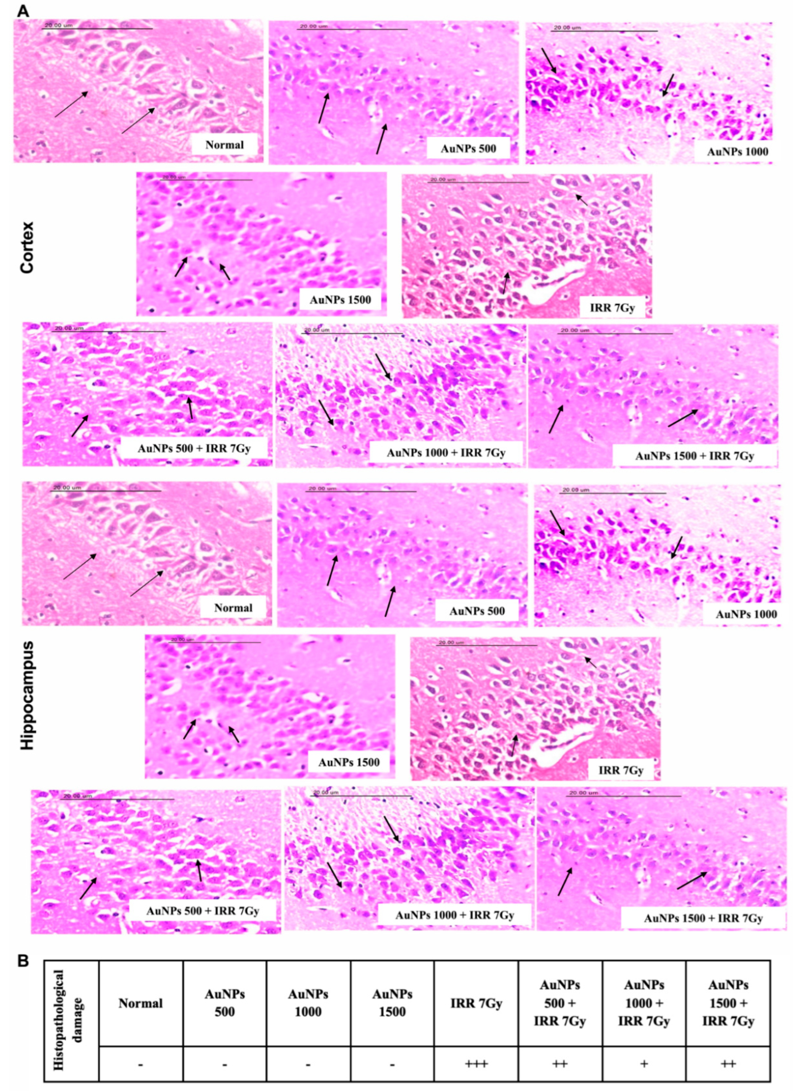 Ijms 23 09640 g009 Ijms 23 09640 g009