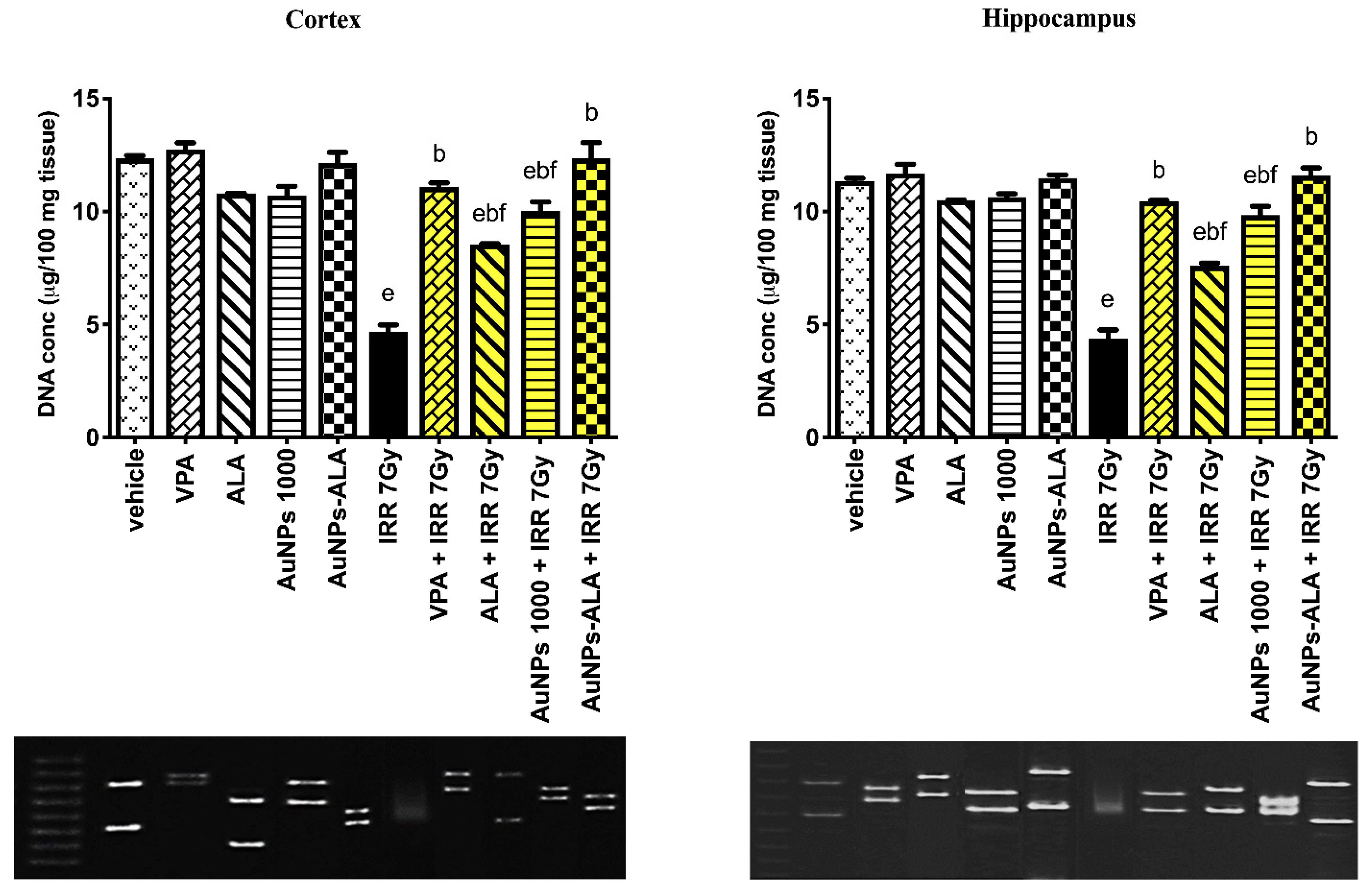 Ijms 23 09640 g010 Ijms 23 09640 g010