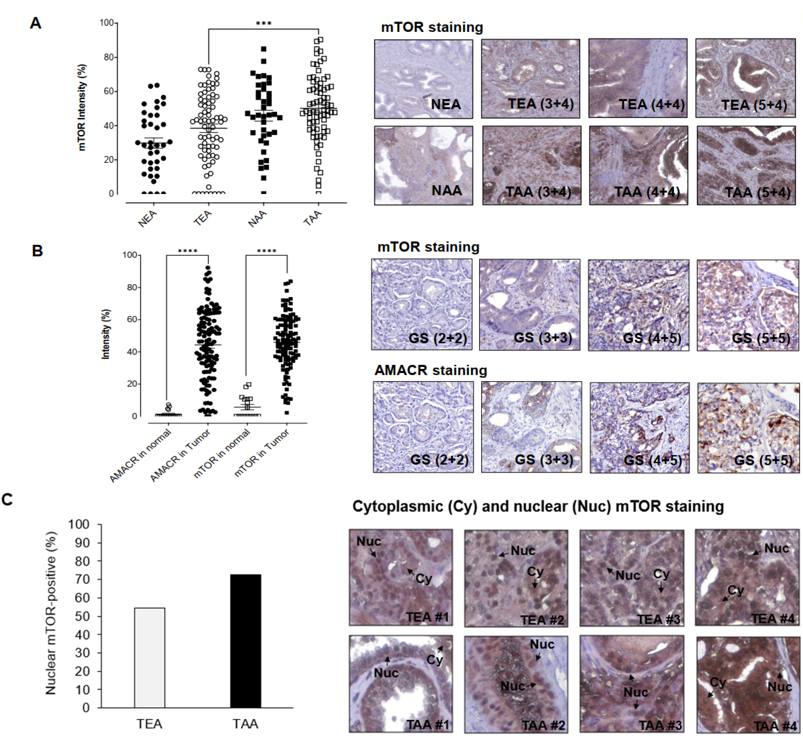 Ijms 23 09643 g001 Ijms 23 09643 g001