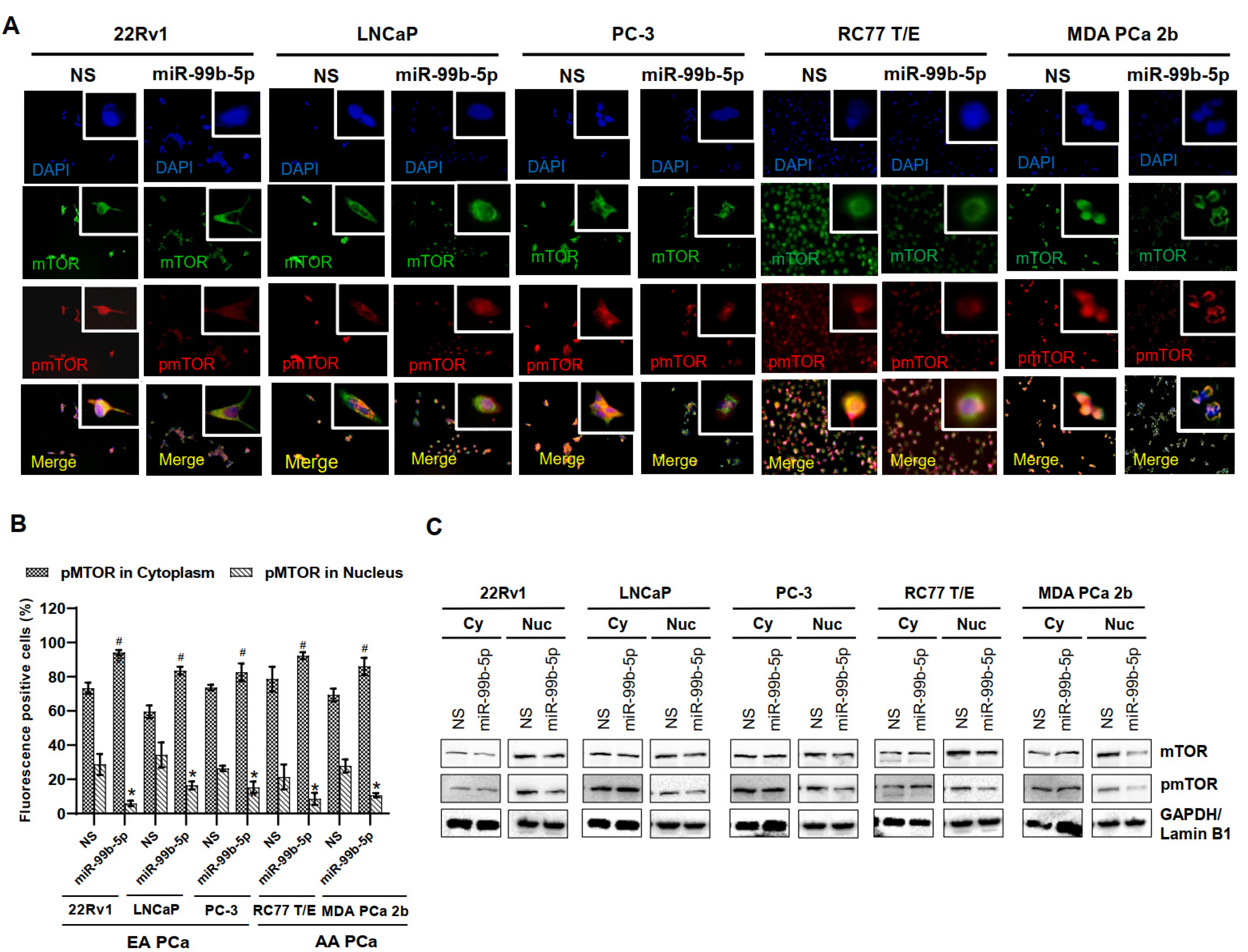 Ijms 23 09643 g003 Ijms 23 09643 g003