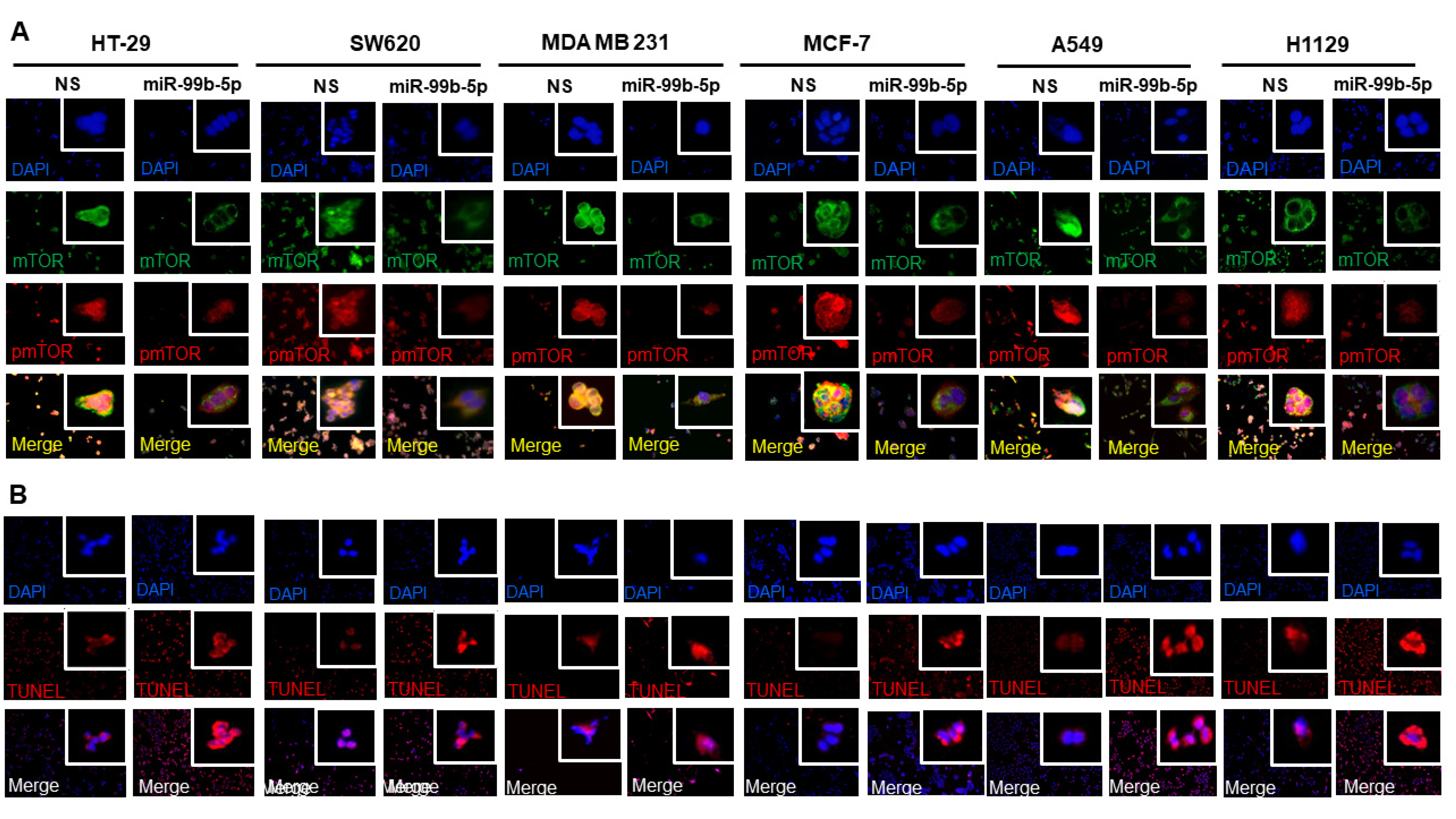 Ijms 23 09643 g005 Ijms 23 09643 g005