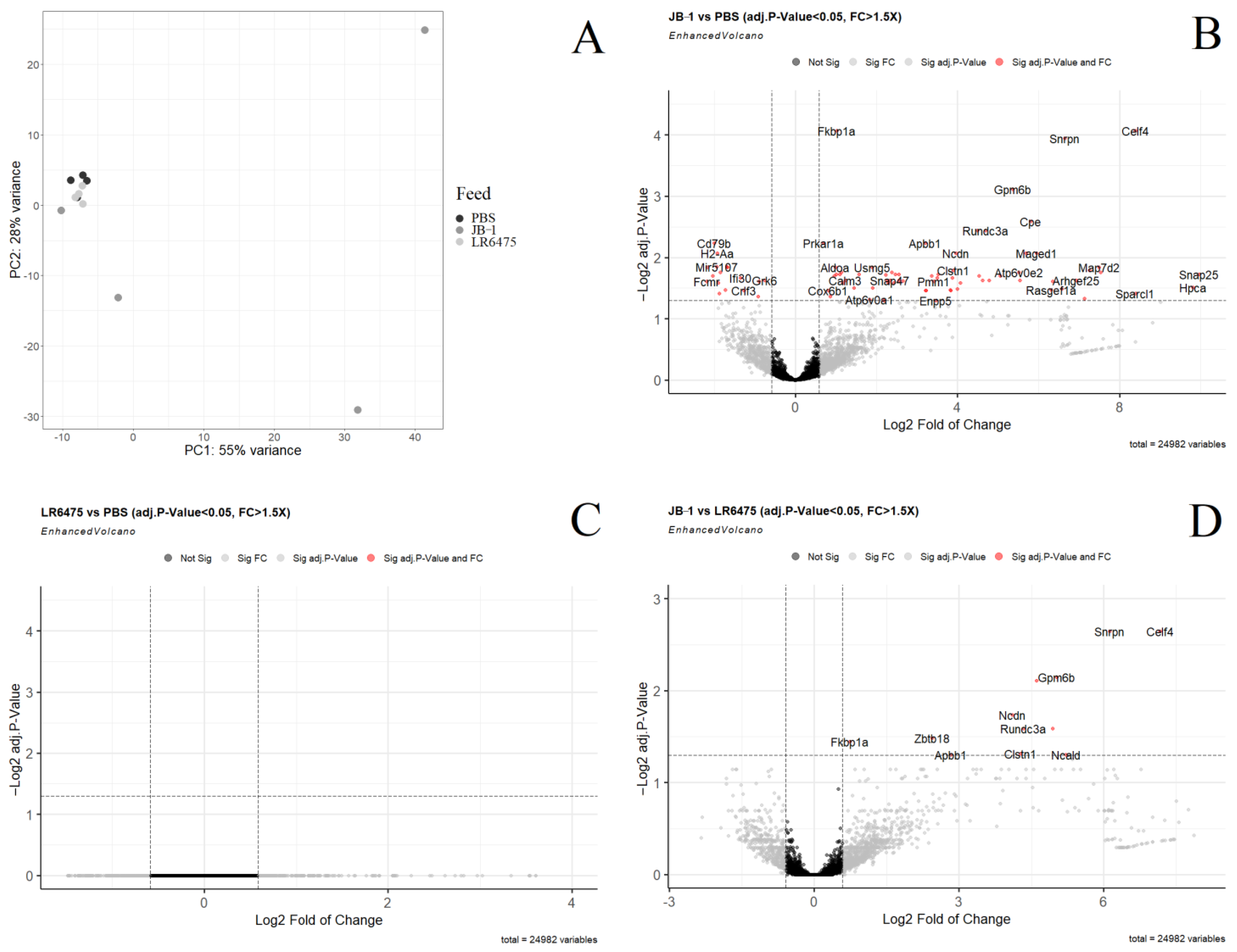 Ijms 23 09653 g001 Ijms 23 09653 g001