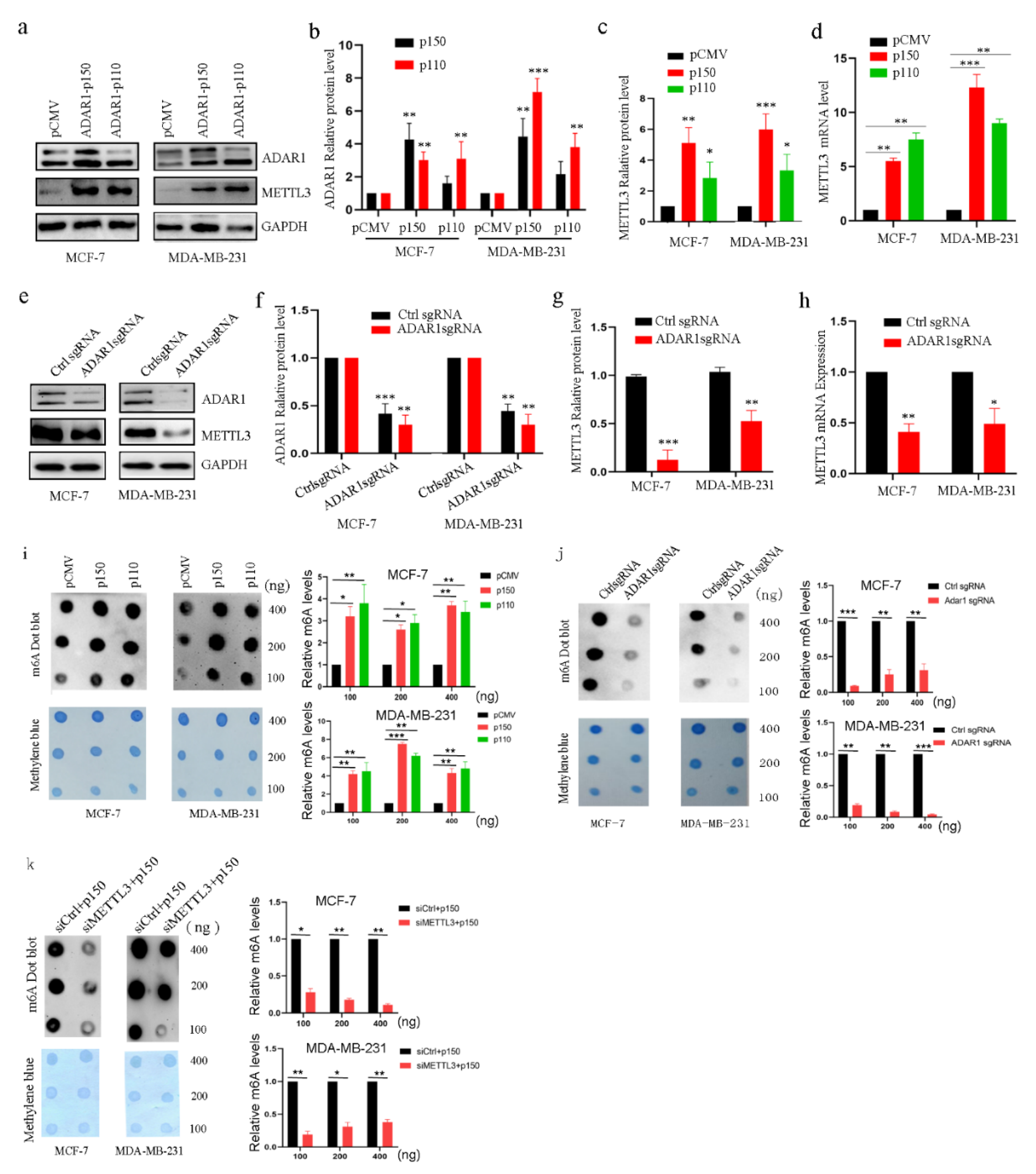 Ijms 23 09656 g002 550