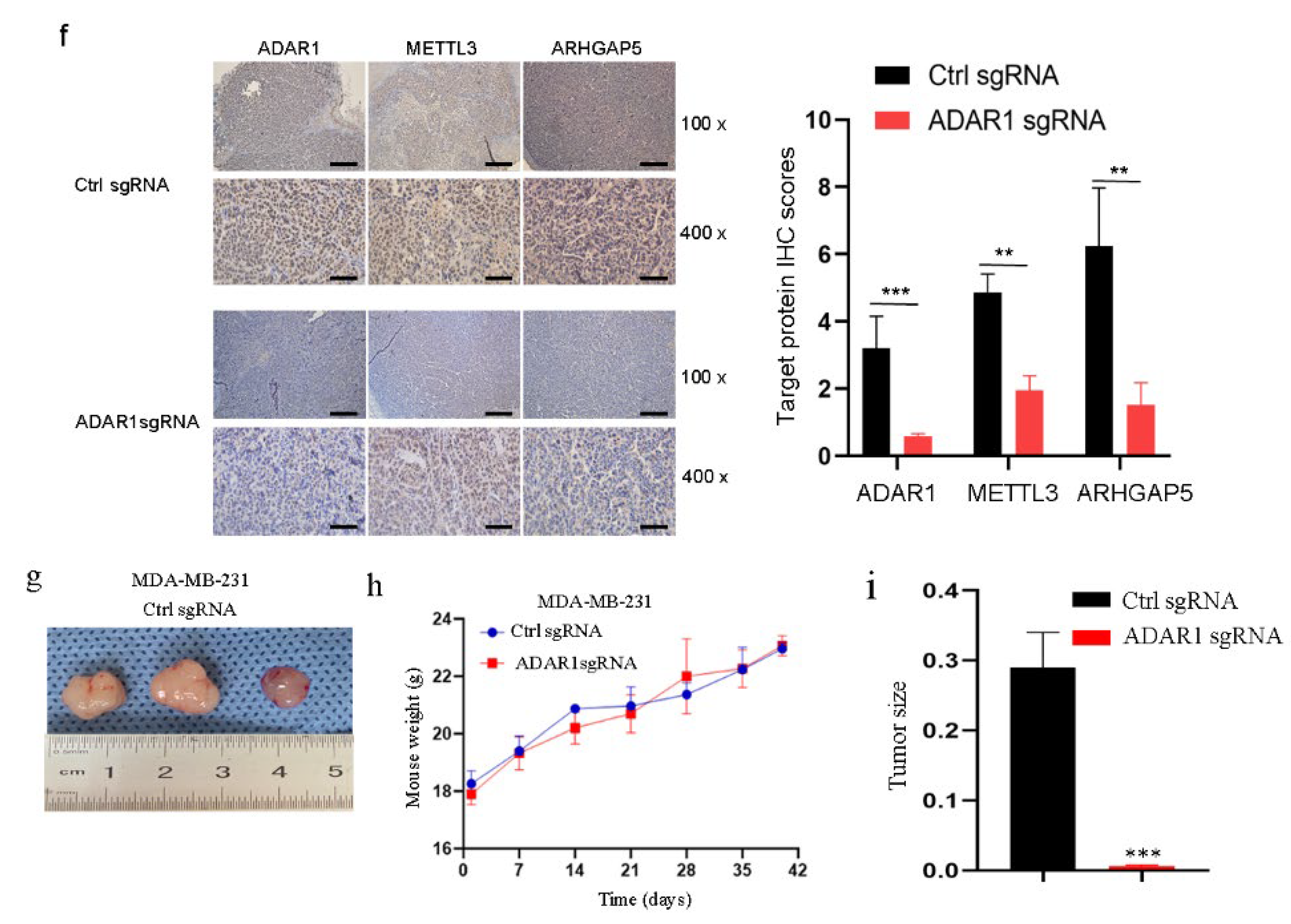 Ijms 23 09656 g007b 550