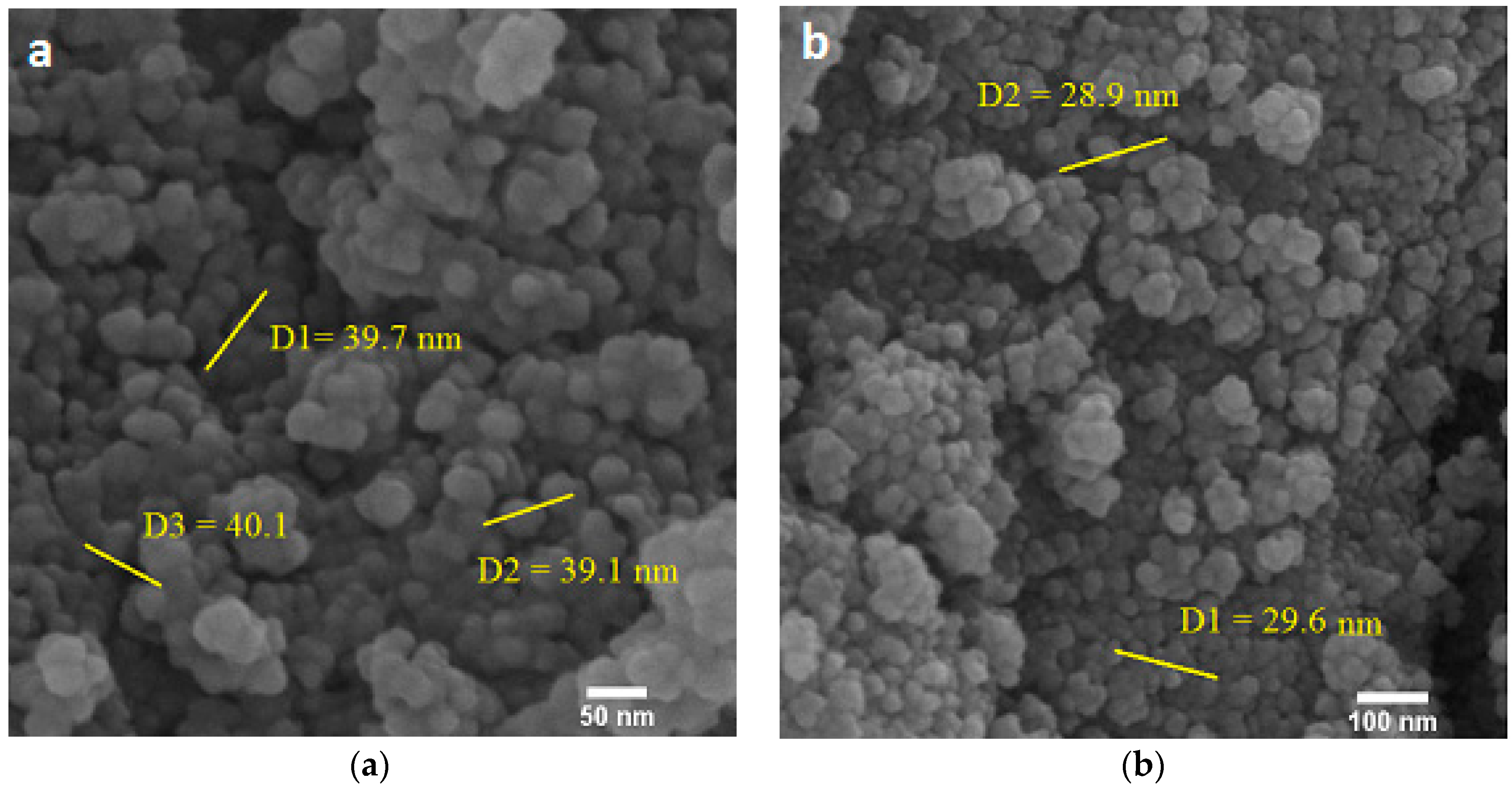 Ijms 23 09657 g004 550