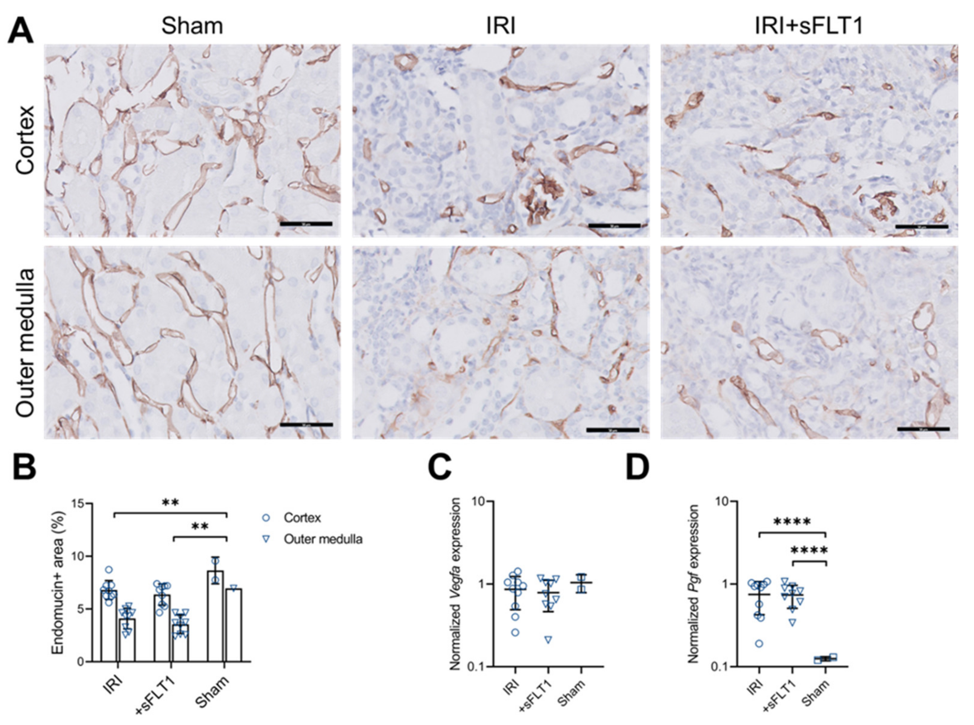 Ijms 23 09660 g003 550